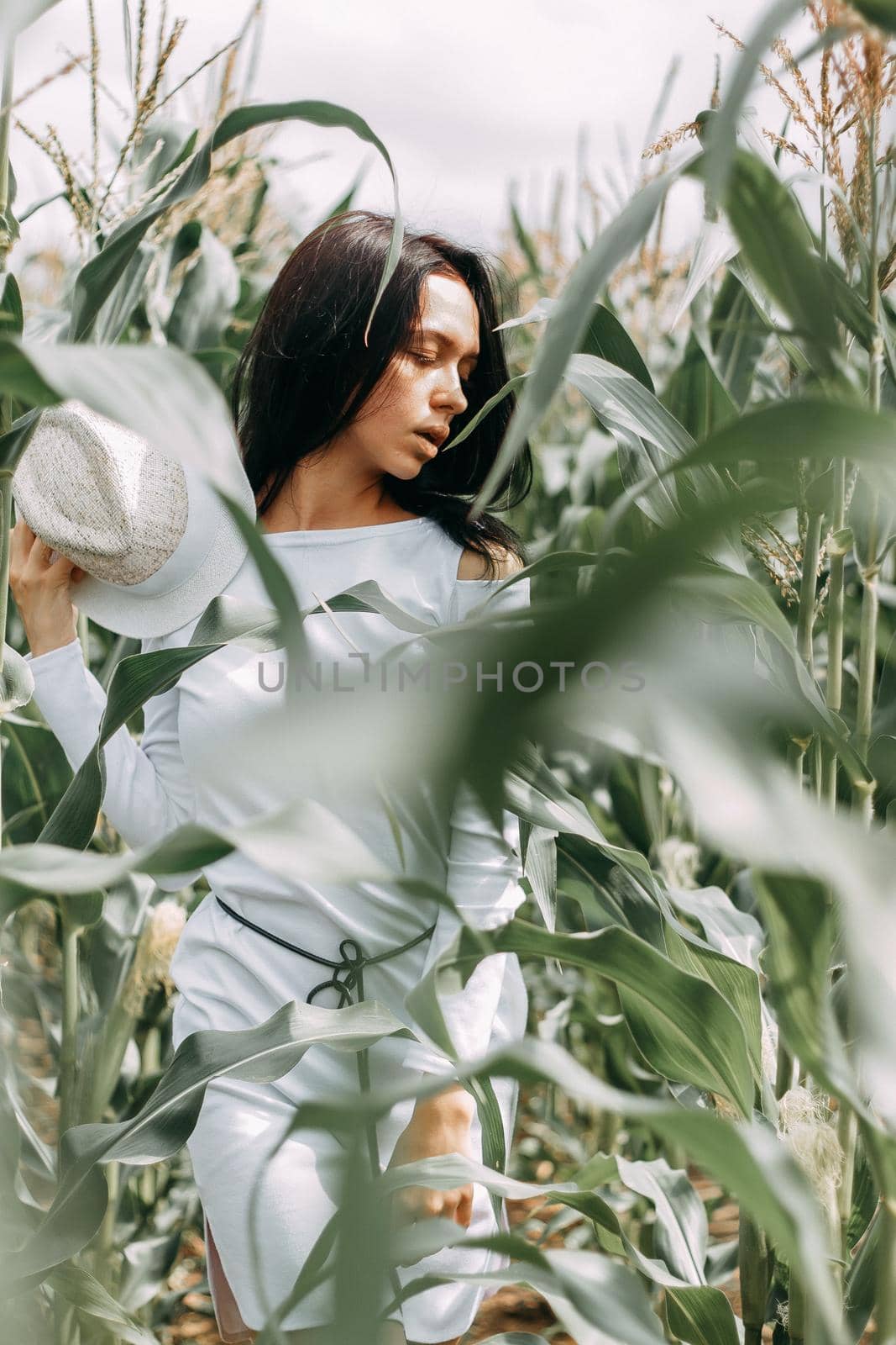 A brunette girl in a white dress in a cornfield. The concept of harvesting.