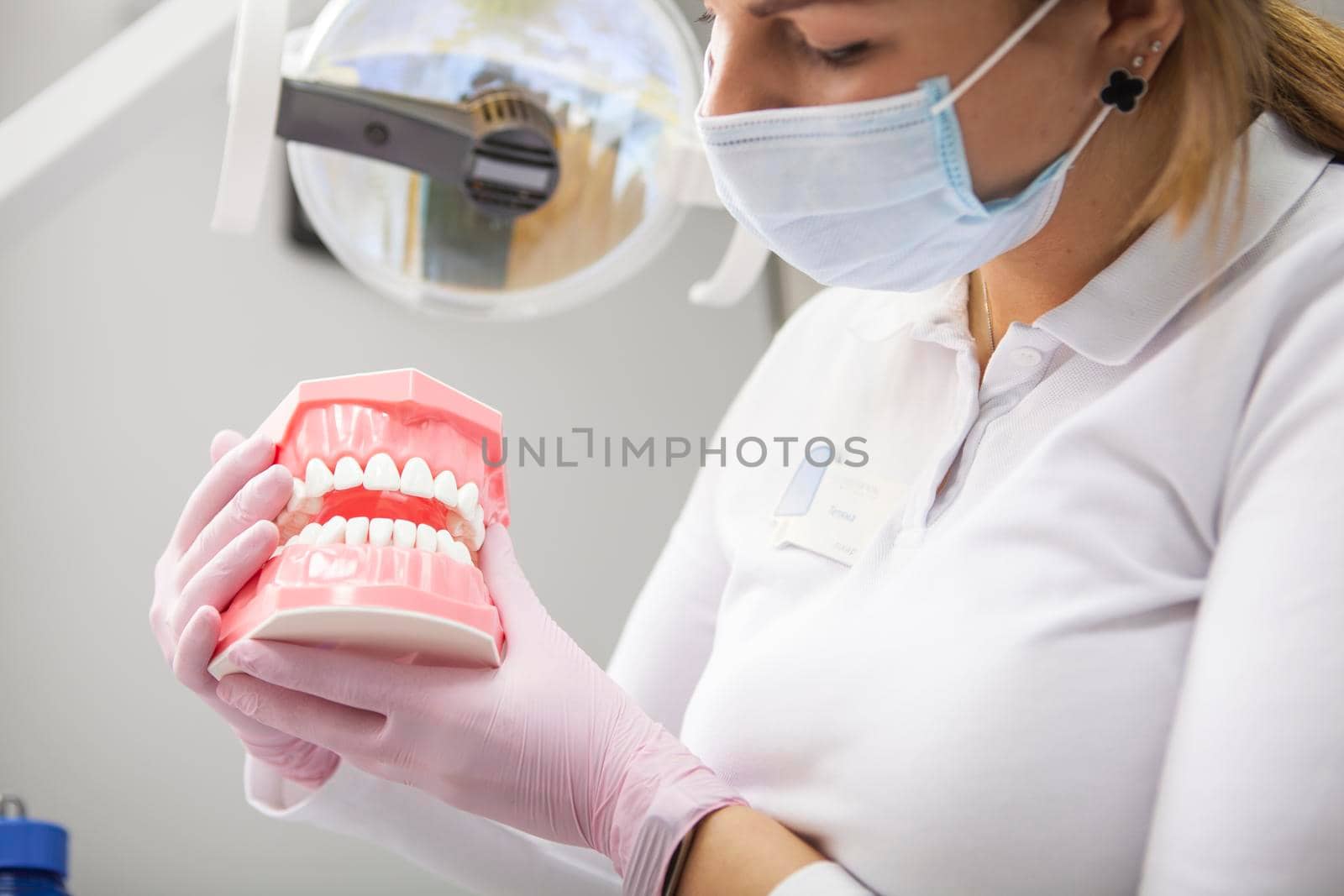 Cropped shot of female dentist wearing medical mask holding dental model