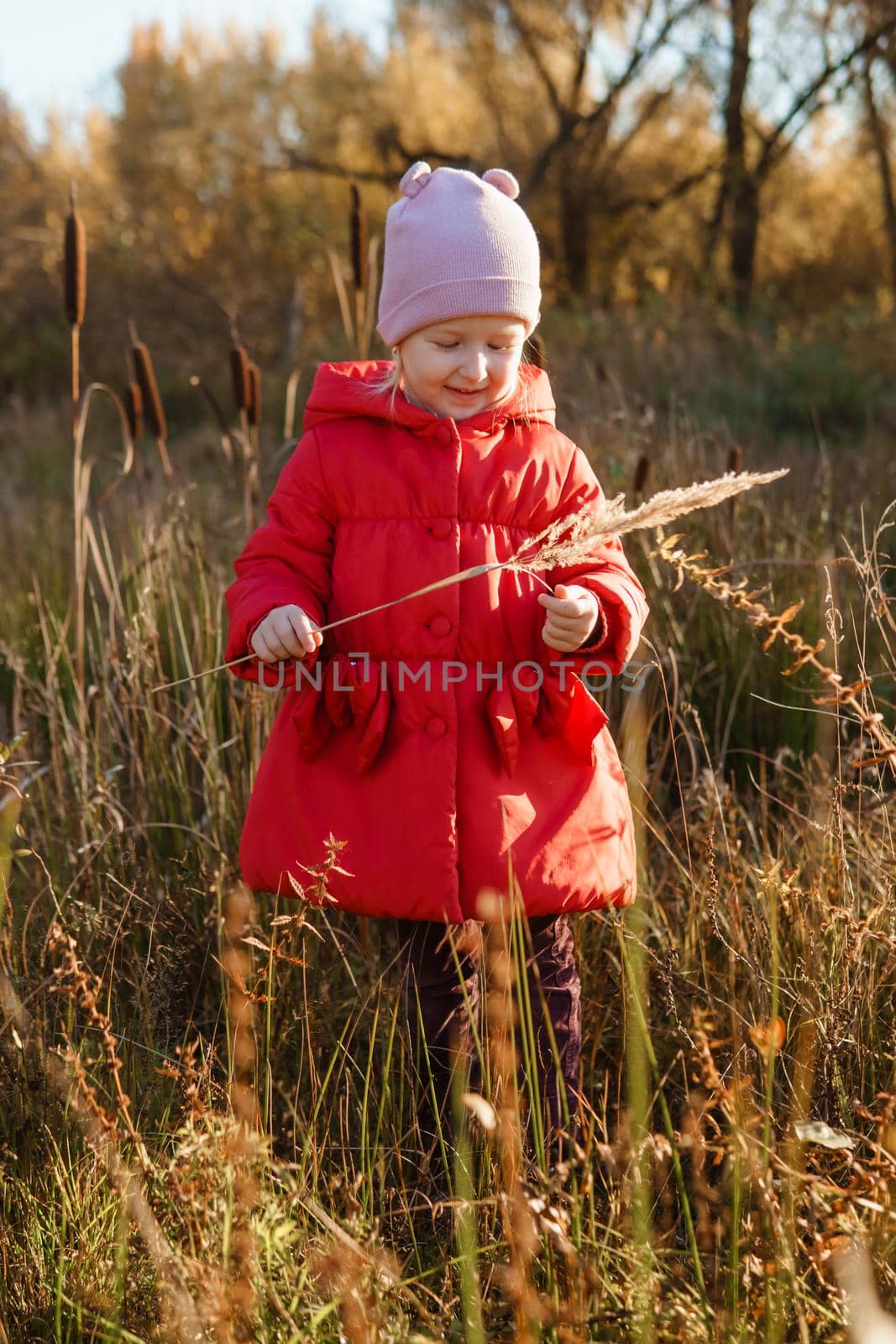 A little girl in a red coat walks in nature in an autumn grove. The season is autumn by Annu1tochka