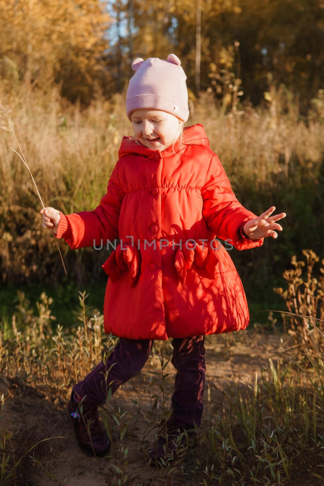 A little girl in a red coat walks in nature in an autumn grove. The season is autumn.
