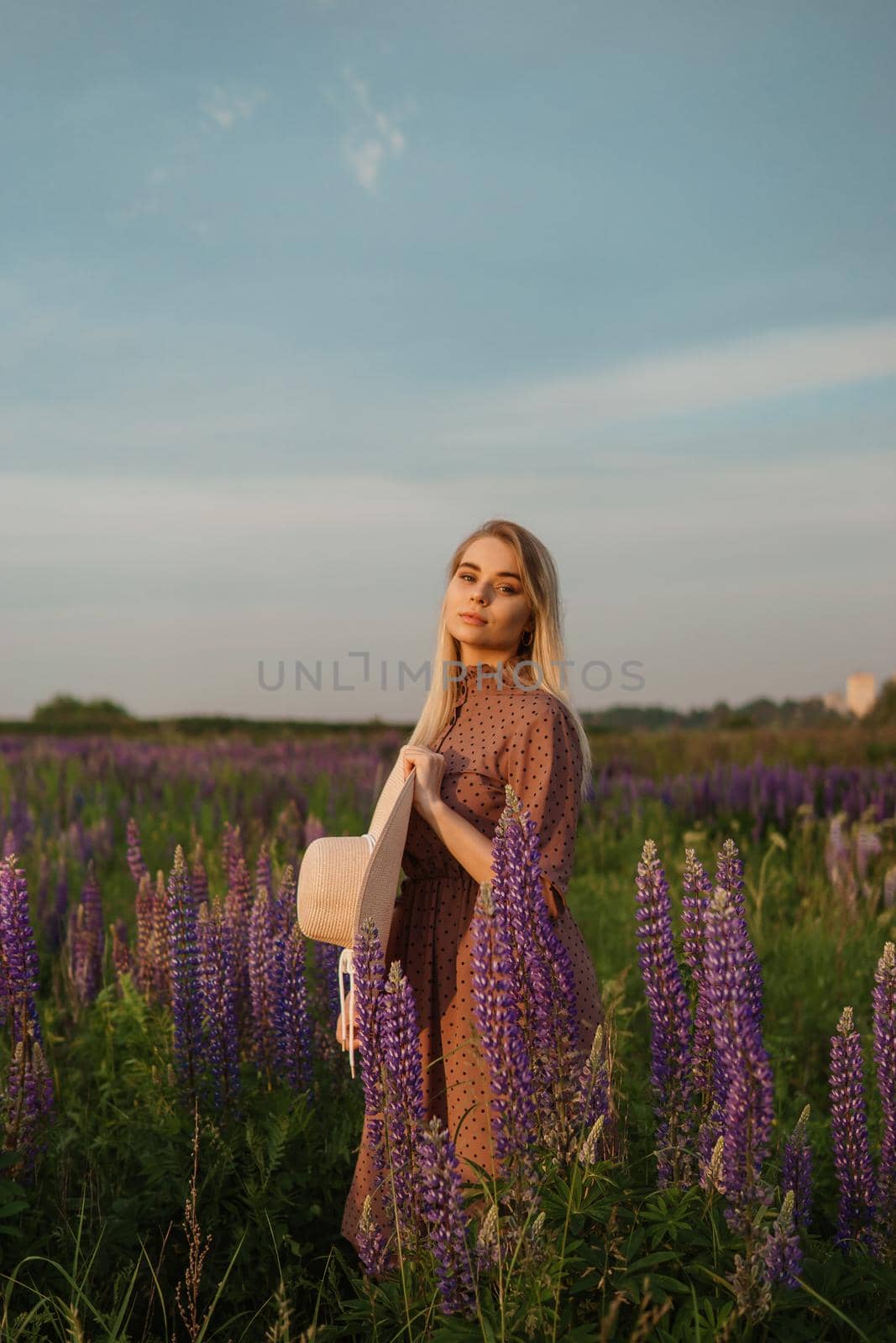 A beautiful woman in a straw hat walks in a field with purple flowers. A walk in nature in the lupin field by Annu1tochka