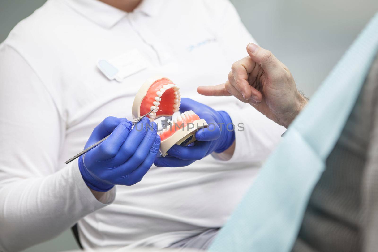 Unrecognizable dentist holding dentures model by MAD_Production