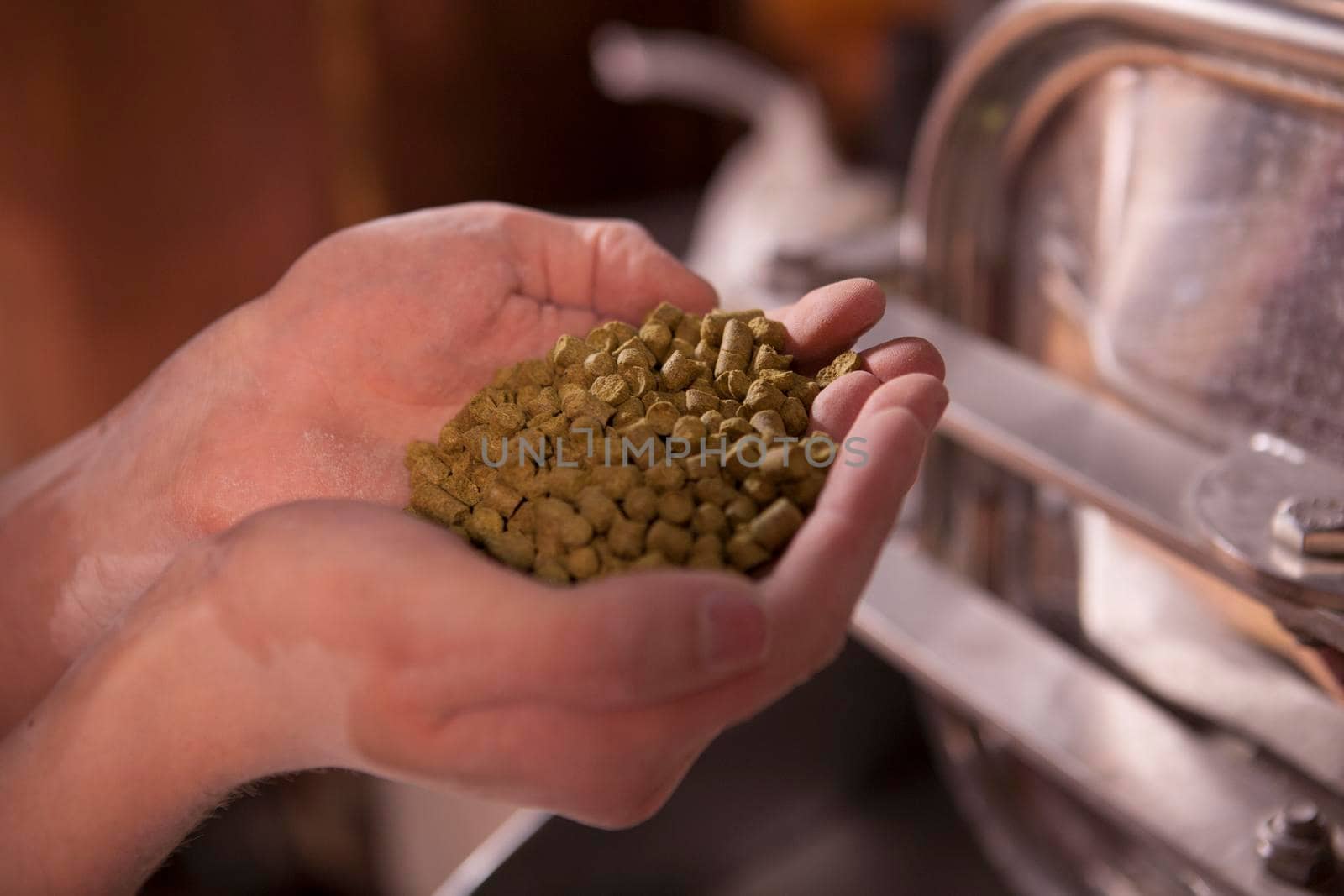 Cropped close up of a brewer holding pellet hop granules in his hands