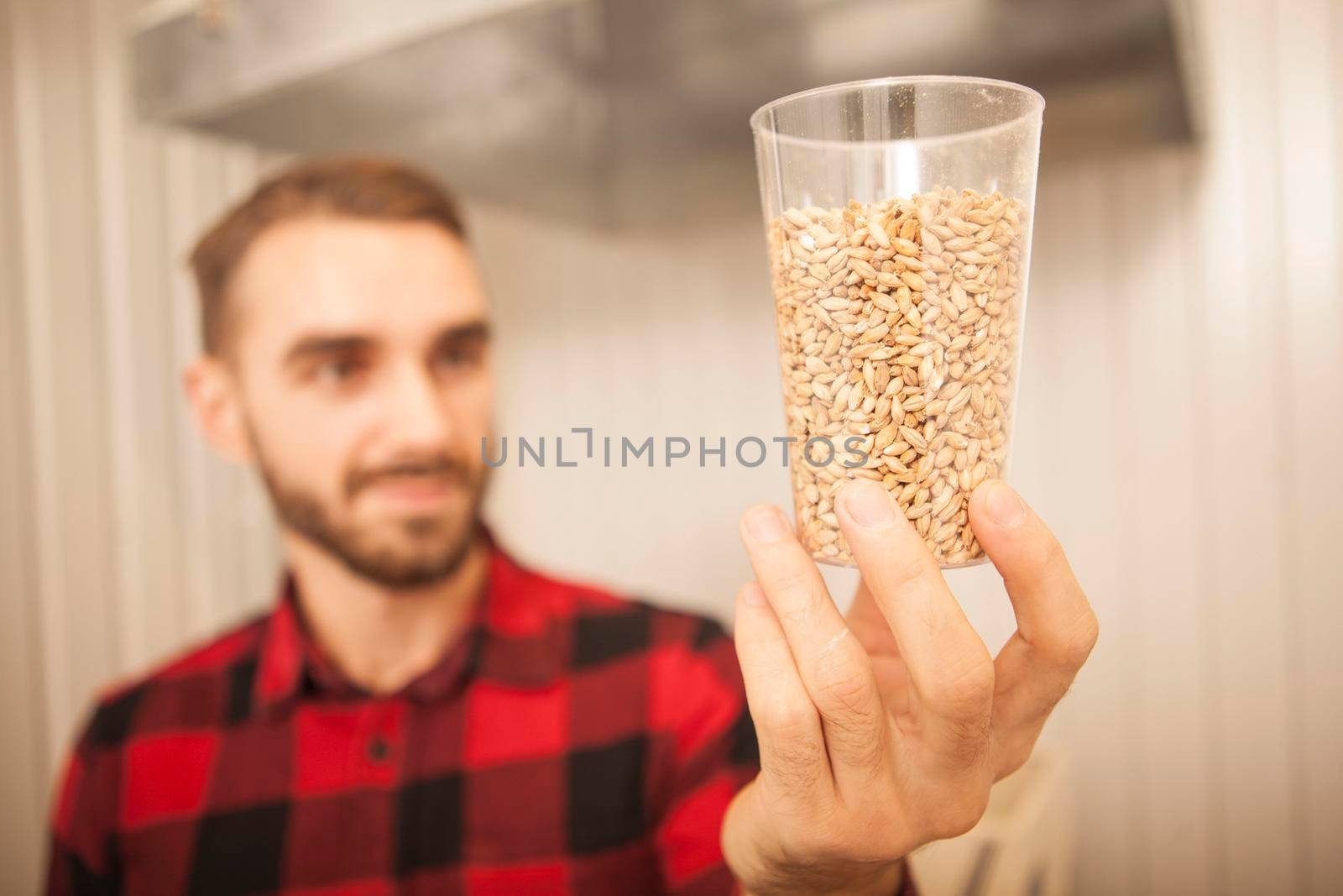 Brewer examining barley seeds by MAD_Production
