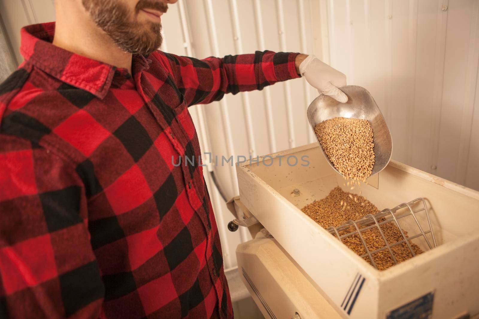 Cropped shot of a bearded male brewer pouring barley seeds into grain mill
