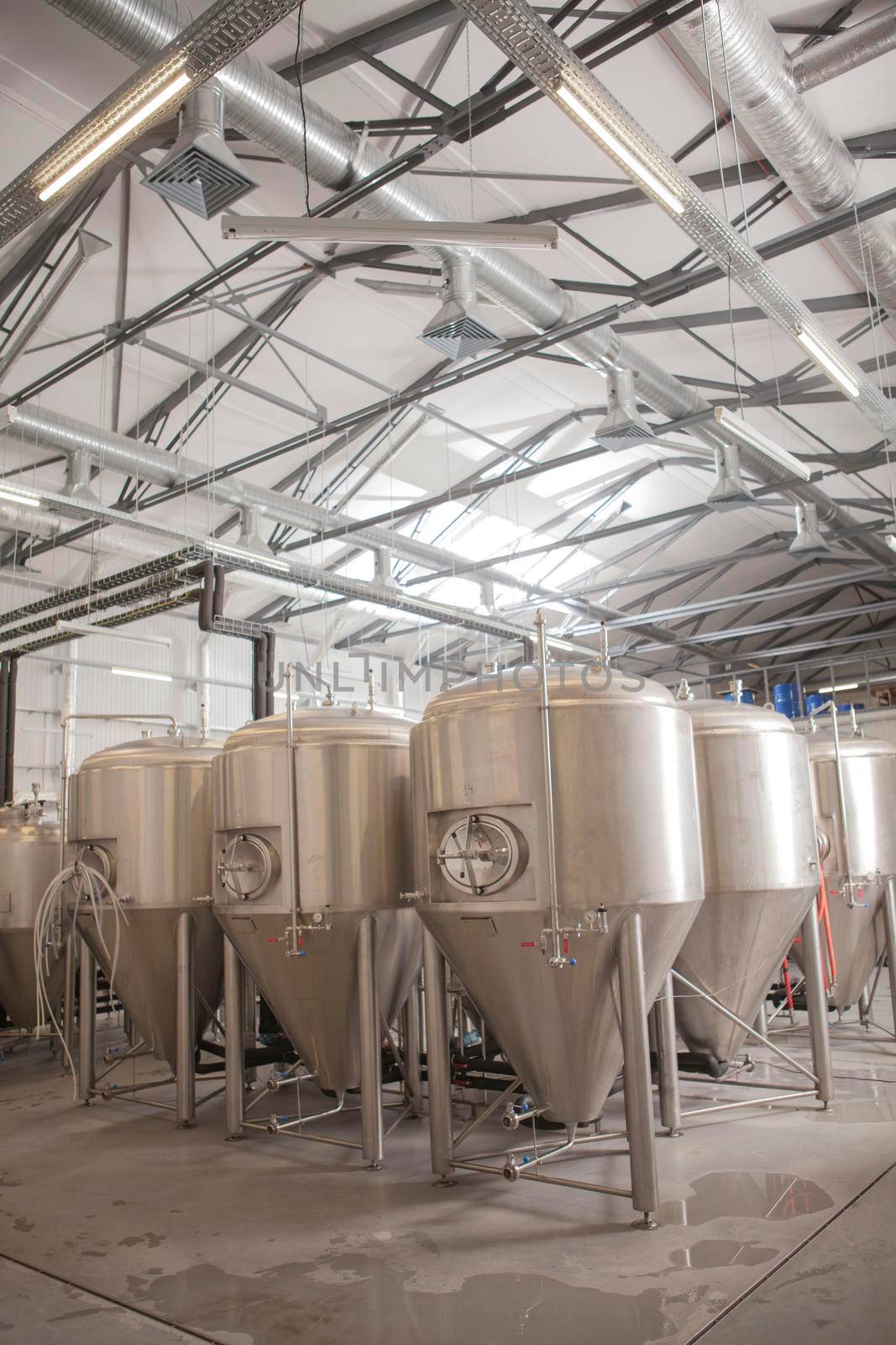 Vertical full length shot of beer tanks at microbrewery production plant