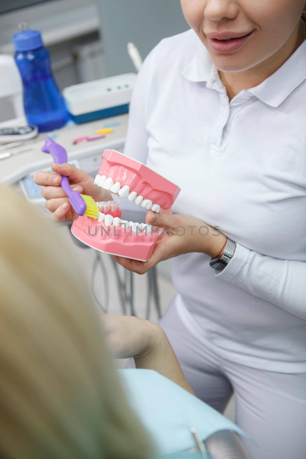 Vertical cropped shot of a female dentist showing dental model to patient