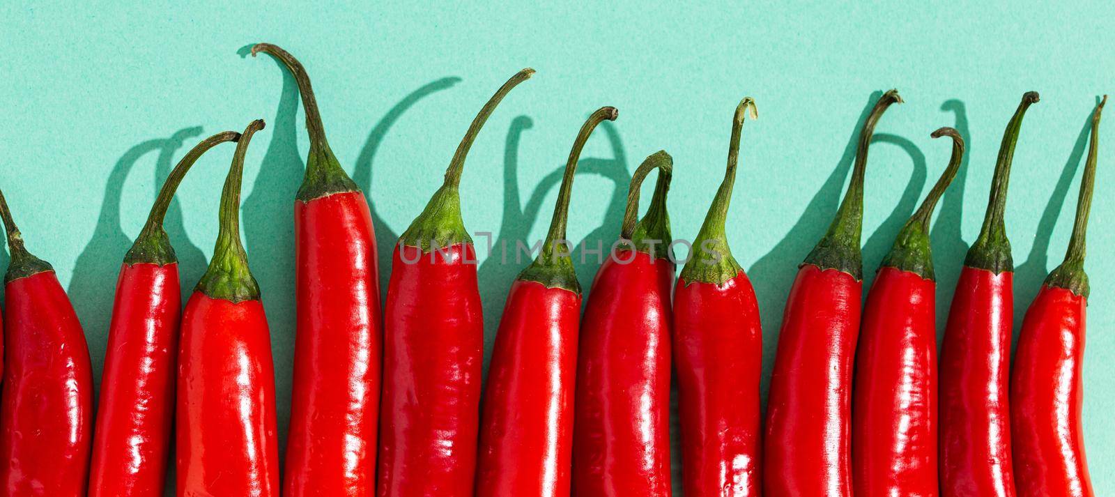 Red hot chilli peppers on minimal blue contrast background close up macro flat lay from above composition, simple clean food background with chilli peppers space for text.
