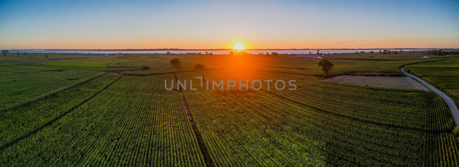 Aerial sunset view over the green cornfields in Bestida, Murtosa - Portugal.