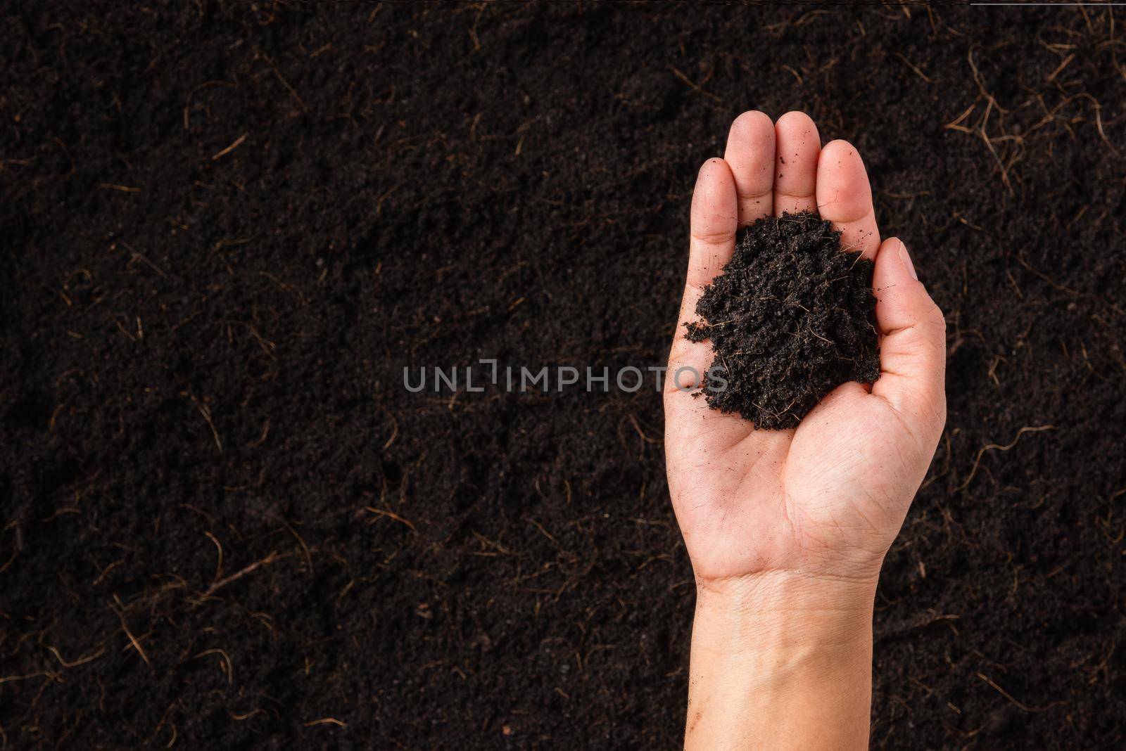woman hand holding compost fertile black soil background by Sorapop