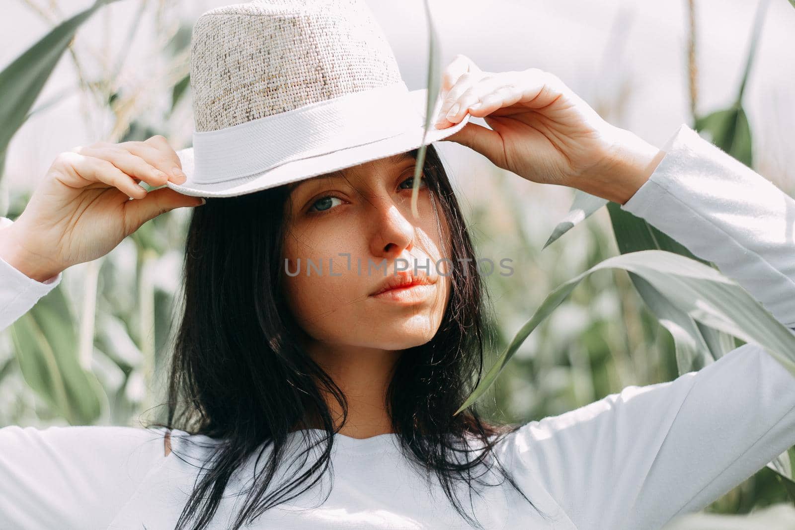 A brunette girl in a white dress in a cornfield. The concept of harvesting.