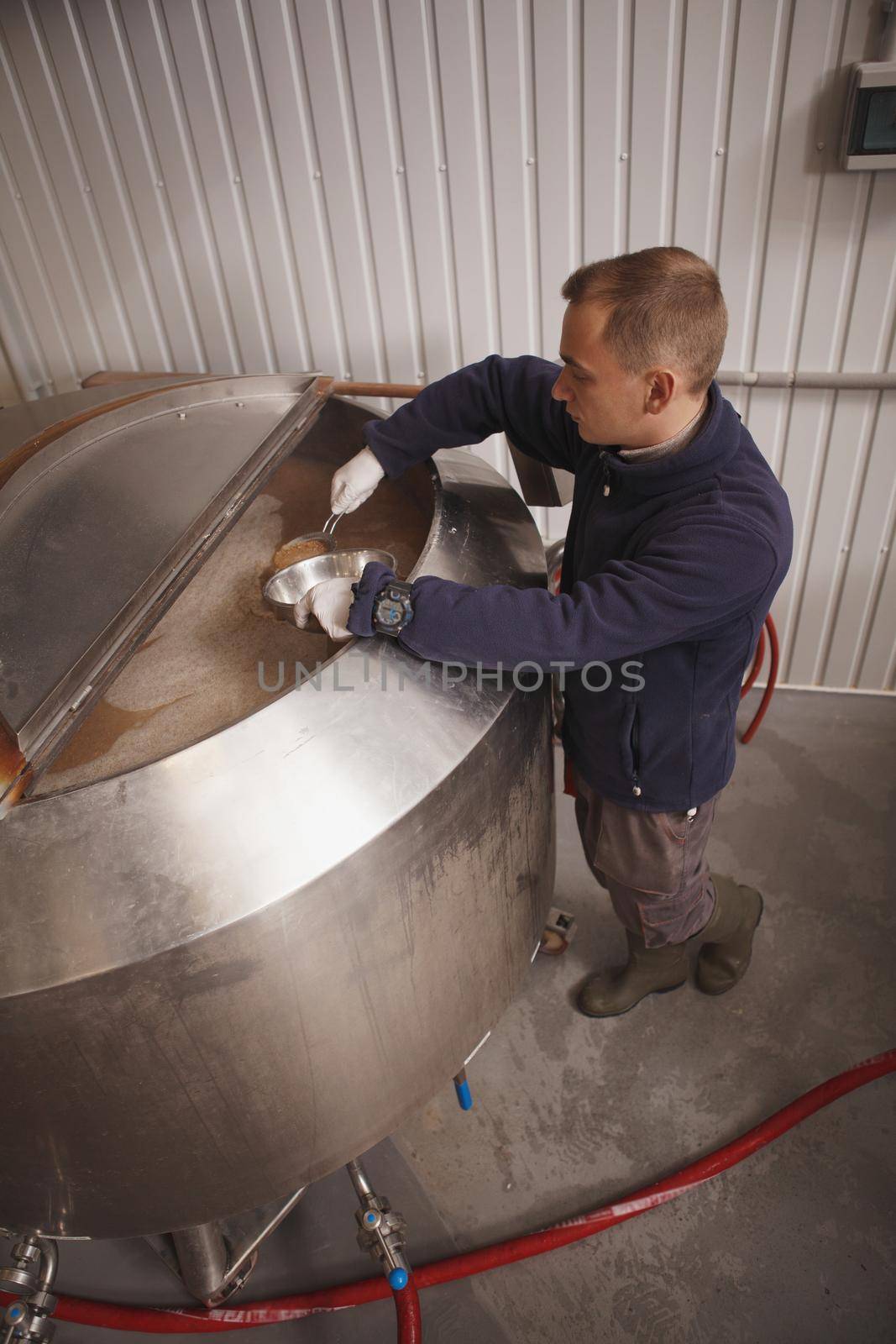 Vertical top view shot of a brewery worker checking fermenting beer in a barrel