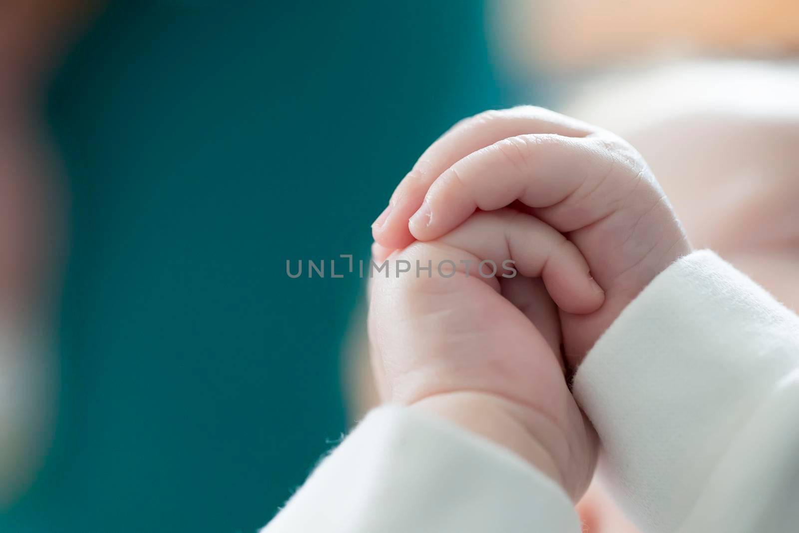 Hands of a baby close-up. Newborn hands.