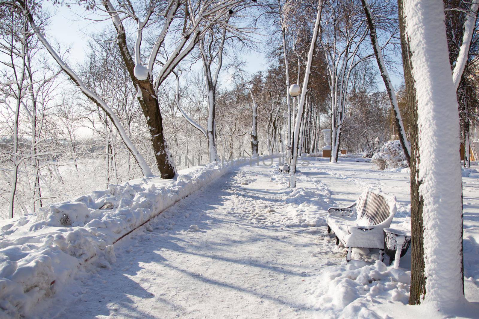 Winter landscape in the park