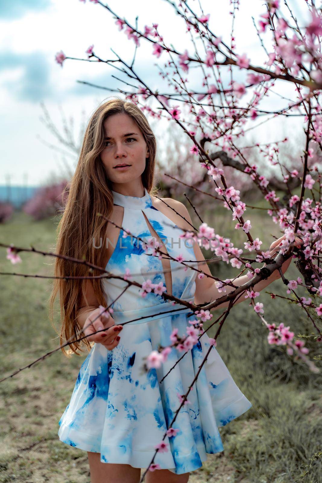 Young beautiful woman in blue dress and long hair is enjoying with blossoming peach trees.