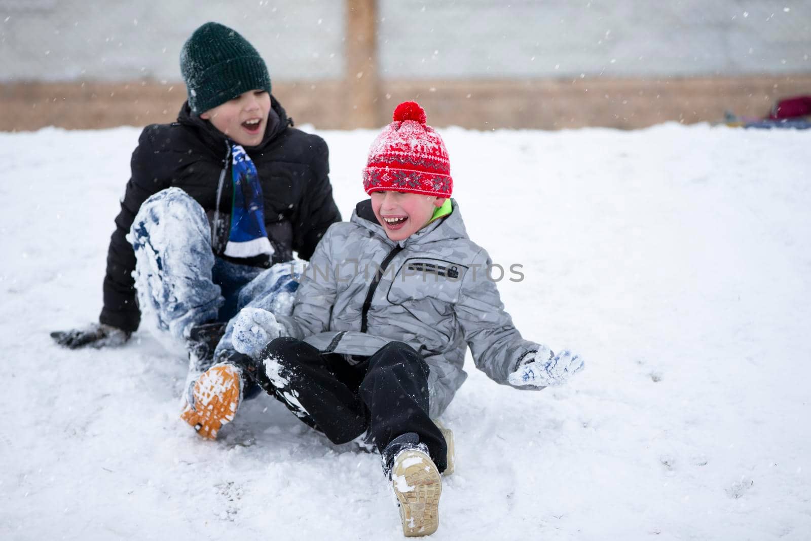 Children in winter. Boys friends are sledding. by Sviatlana