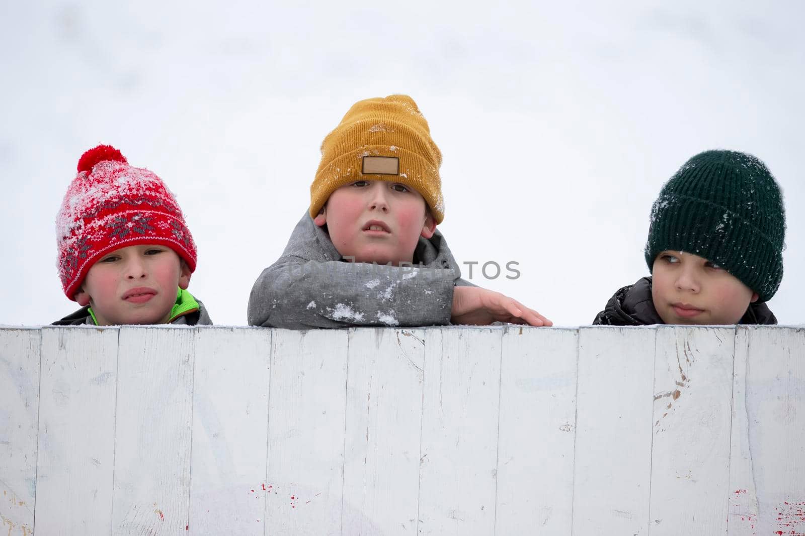 Three funny little boys are watching from behind the fence.
