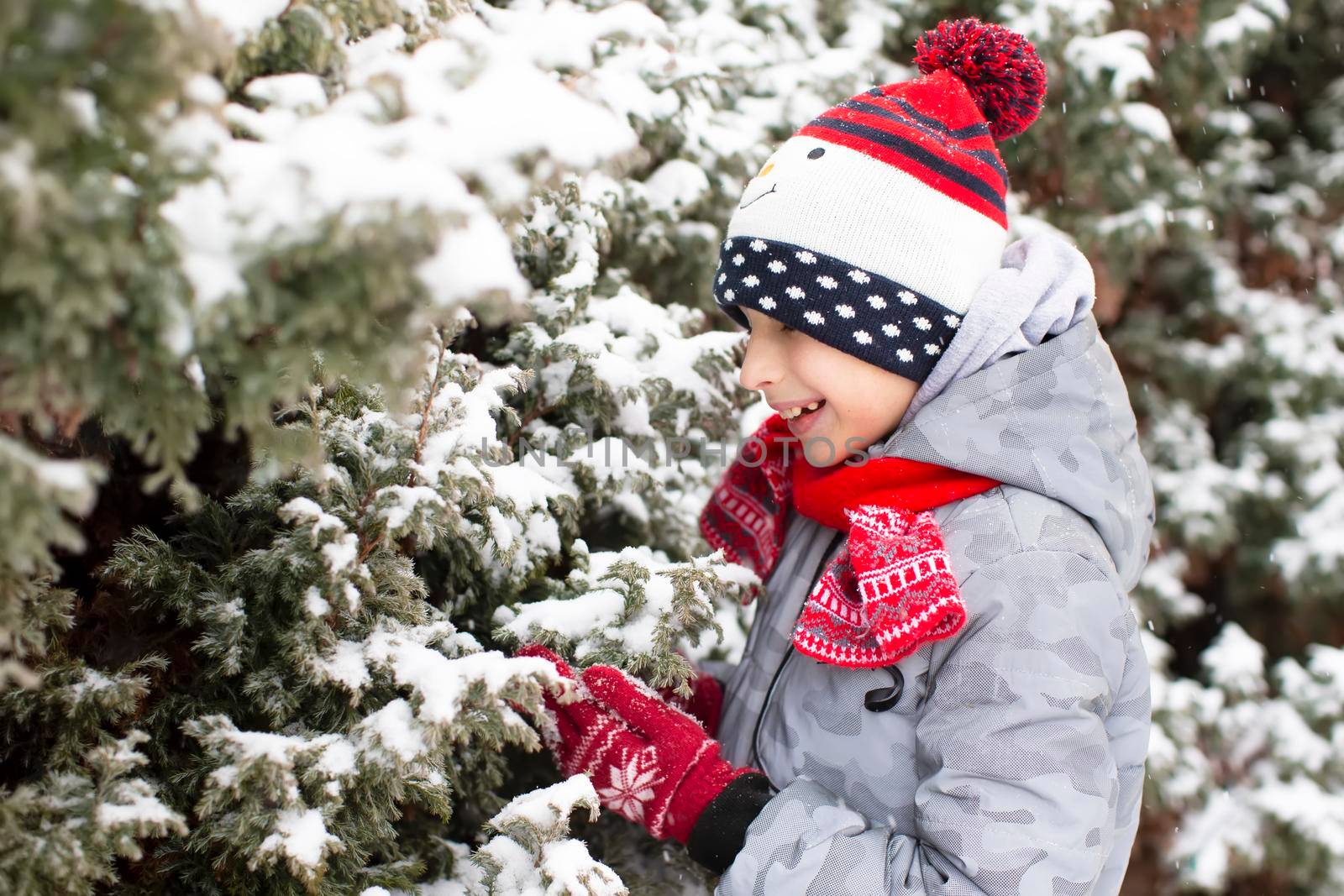 Child in winter. A little boy rejoices in the snow on the Christmas tree.