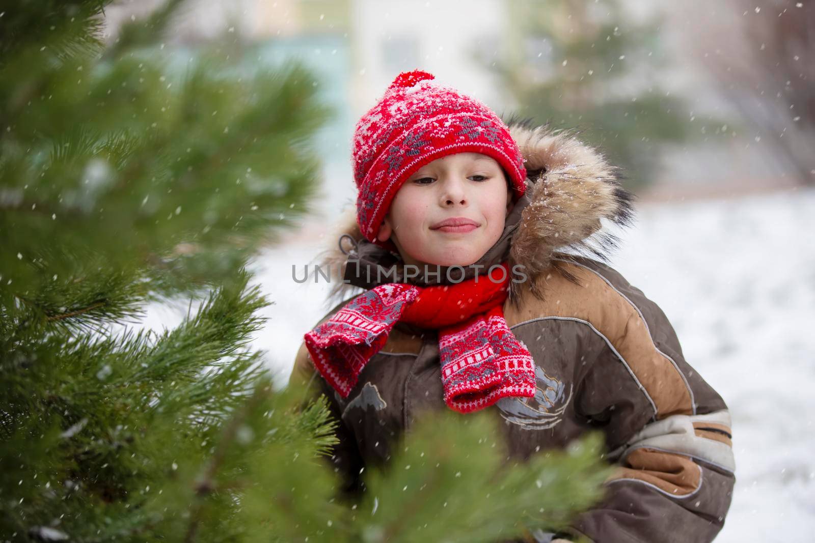 Funny little boy among the snow-covered Christmas trees. Child in winter.