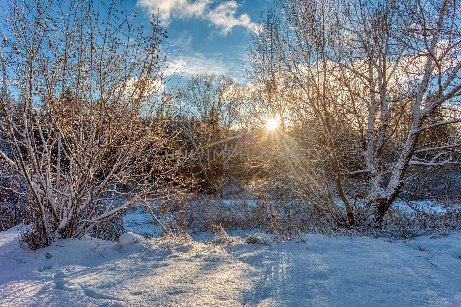 The cool winter morning landscape, Jihlava Vysocina, Czech Republic Europe
