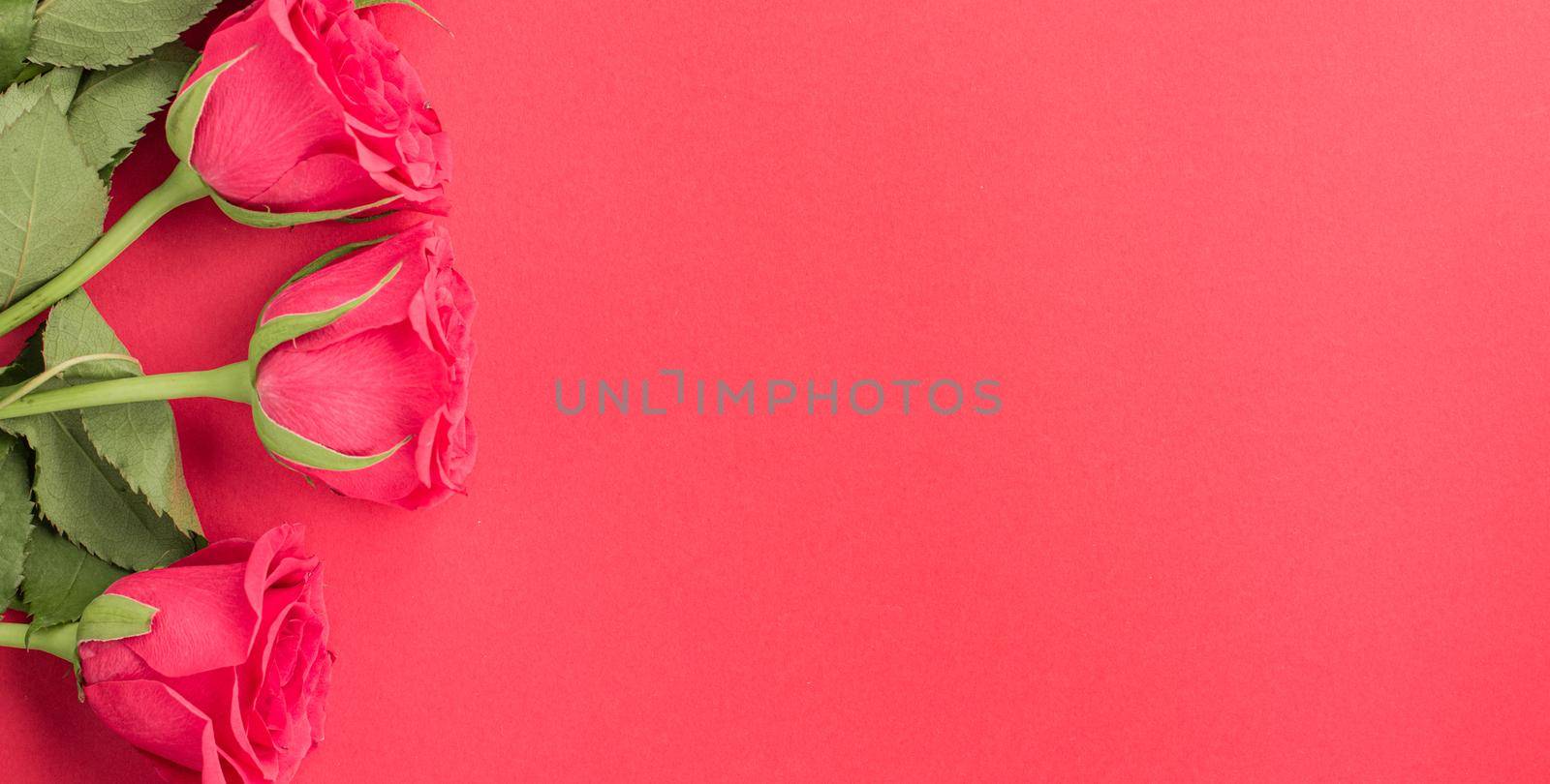 Minimal creative fresh roses on a pastel pink background. Gift concept for Valentine's Day, Wedding or Birthday, banner format. copyspace for text. Flatlay.