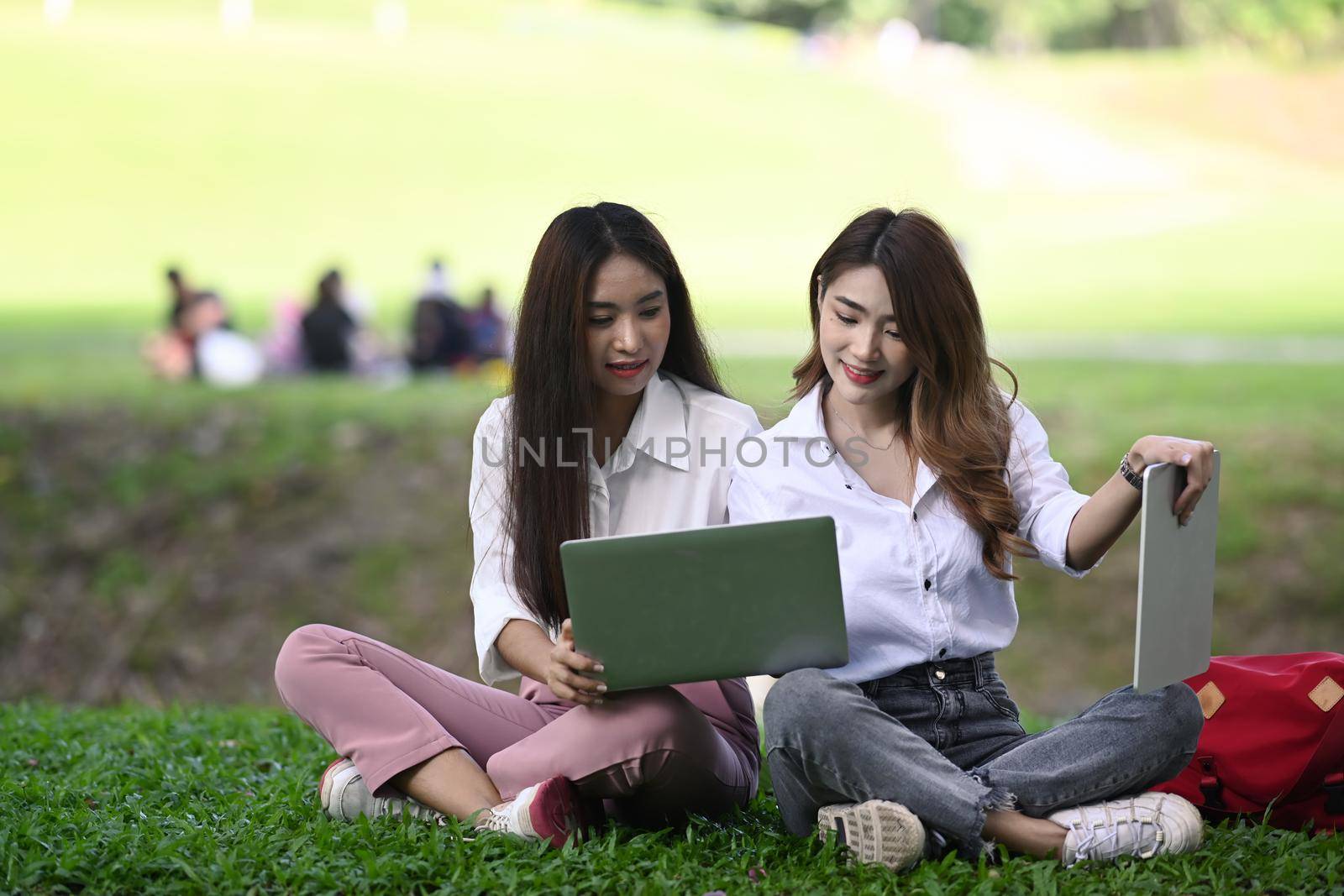 Two young women workers sitting on green grass in the nature park and working on laptop together.