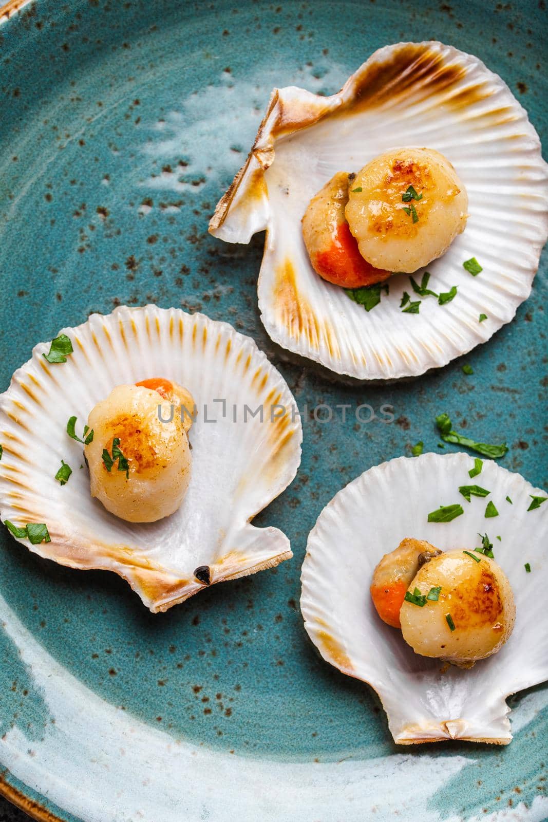 Delicious fried cooked scallops served in shells on blue plate, grey rustic concrete background, top view, close-up. Seafood concept