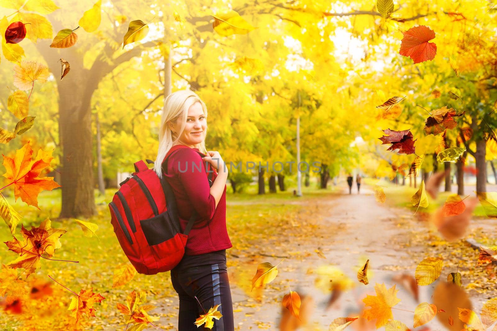 Beautiful girl walking outdoors in autumn. Smiling girl collects yellow leaves in autumn. Young woman enjoying autumn weather. by Andelov13
