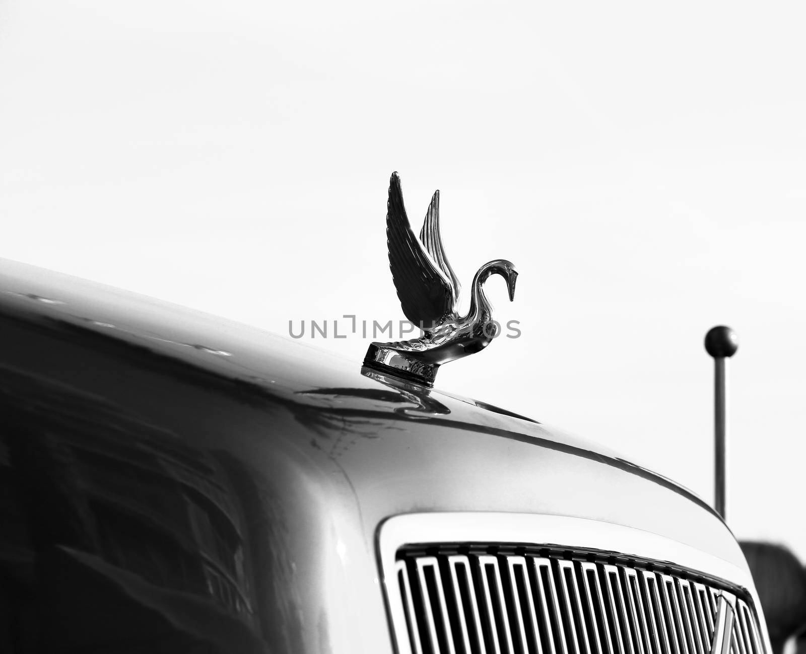 Alicante, Spain- September 11, 2022: Metallic swan on bodywork of a truck in Spain. Monochrome picture