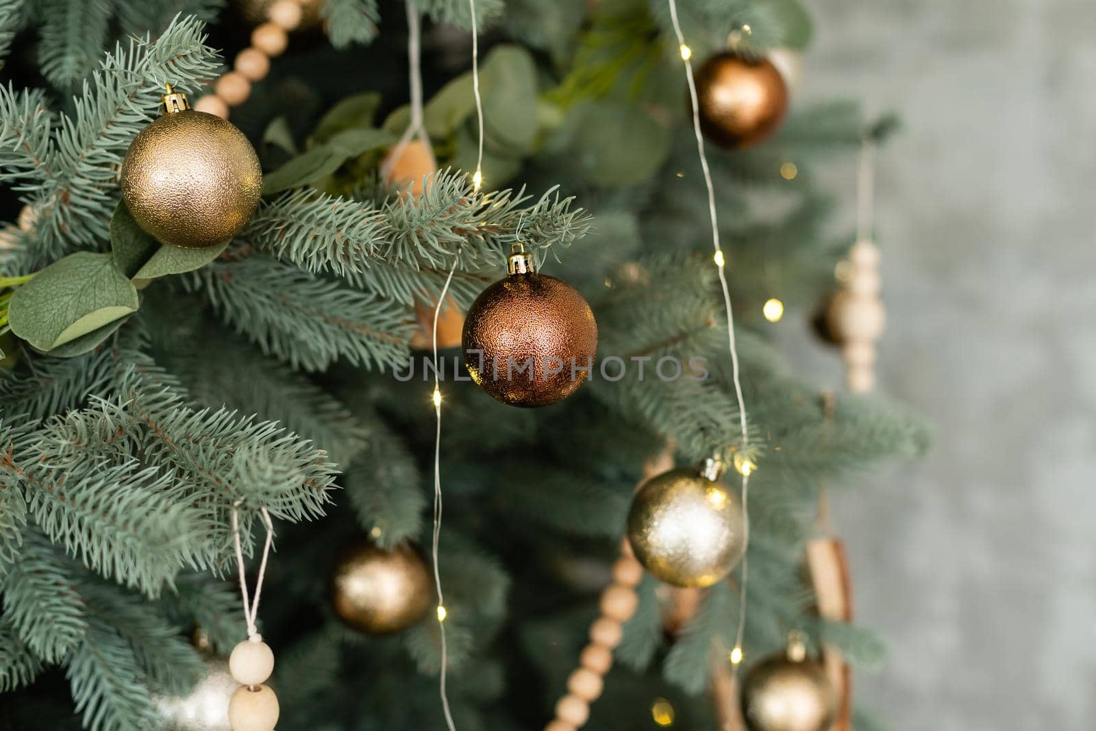 christmas lights hanging in a tree.