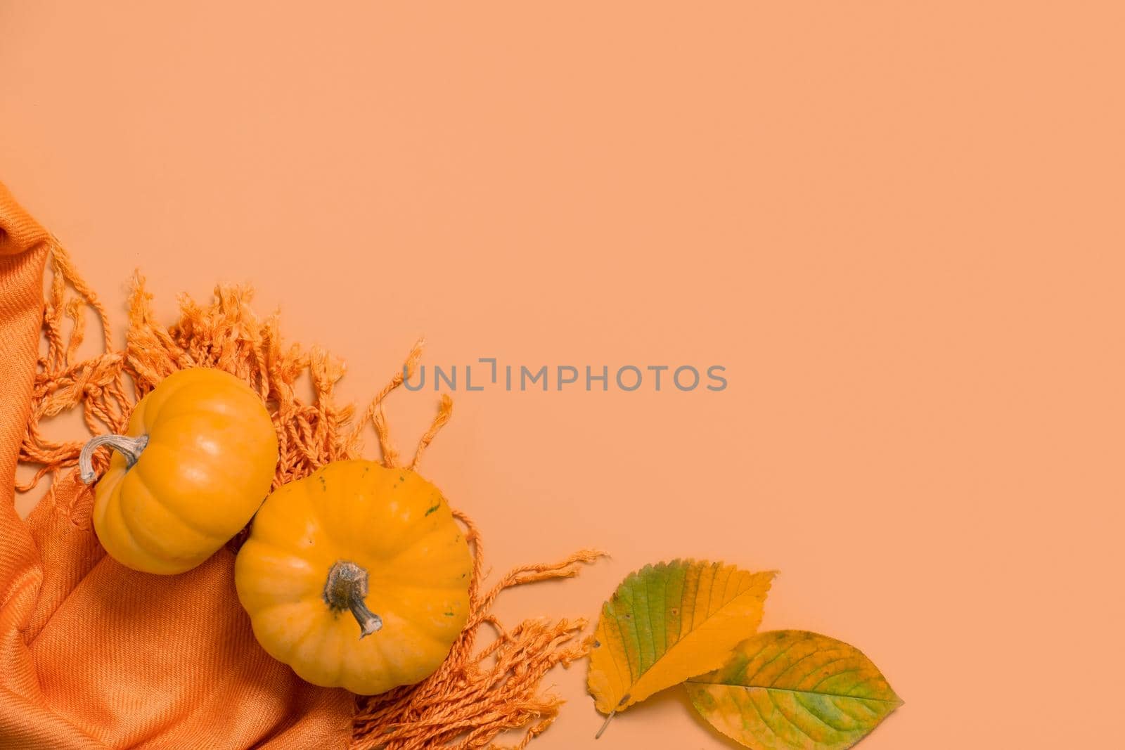 Autumn flat lay composition with two pumpkins fallen leaves on orange scarf top view. Autumn monochrome flat lay composition. Copy space.