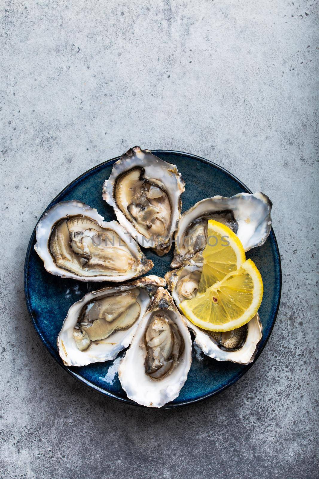 Set of half dozen fresh opened oysters in shell with lemon wedges served on rustic blue plate on gray stone background, close up, top view