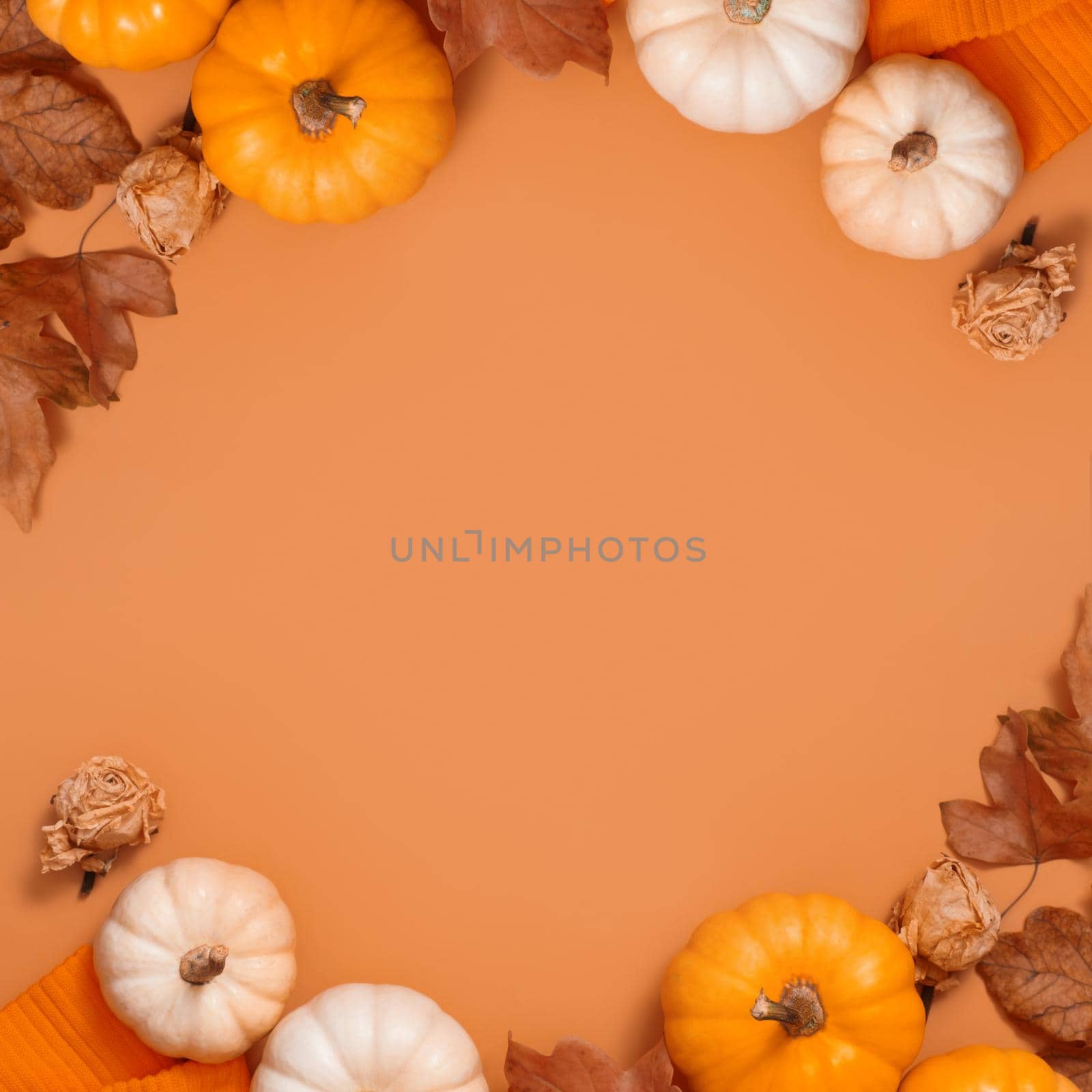 Autumn frame flat lay from pumpkins and fallen leaves and sweater with space for text. High quality photo
