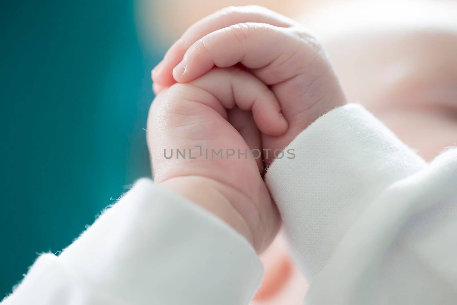 Hands of a baby close-up. Newborn hands.