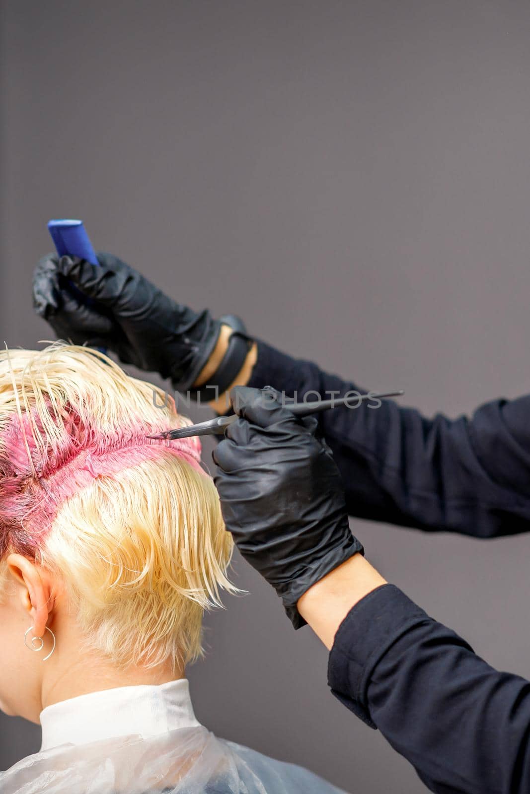 Hairdresser colors female blonde hair in pink color at a beauty salon