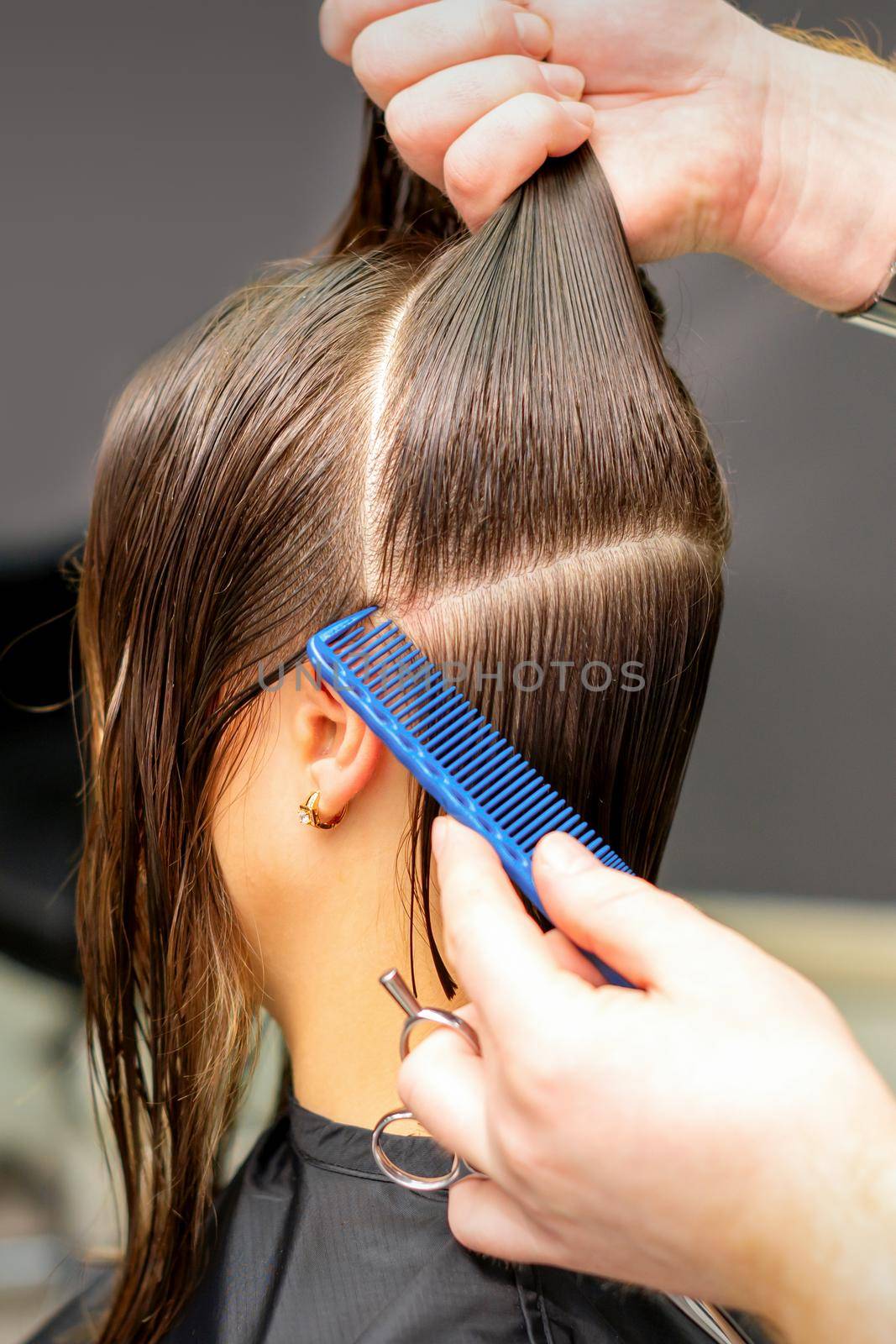 Male coiffeur divides women hair into sections with comb and hands in a beauty salon. by okskukuruza