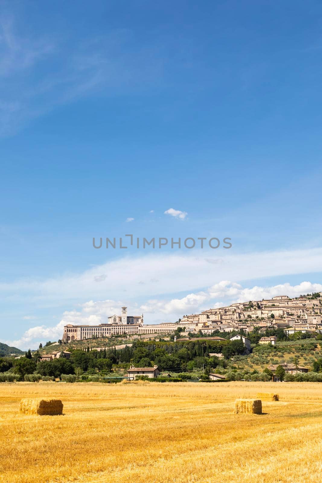 Assisi village in Umbria region, Italy. The town is famous for the most important Italian Basilica dedicated to St. Francis - San Francesco. by Perseomedusa
