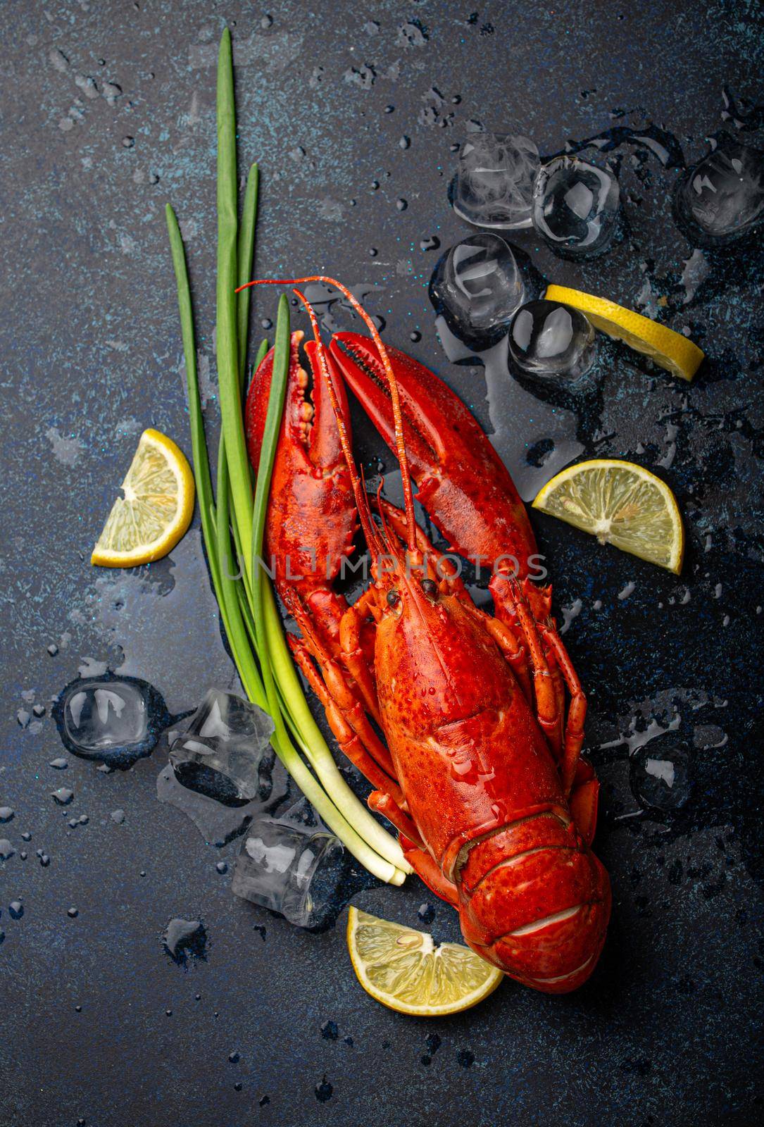 Lobster with lemon and ice cubes top view on blue stone background by its_al_dente