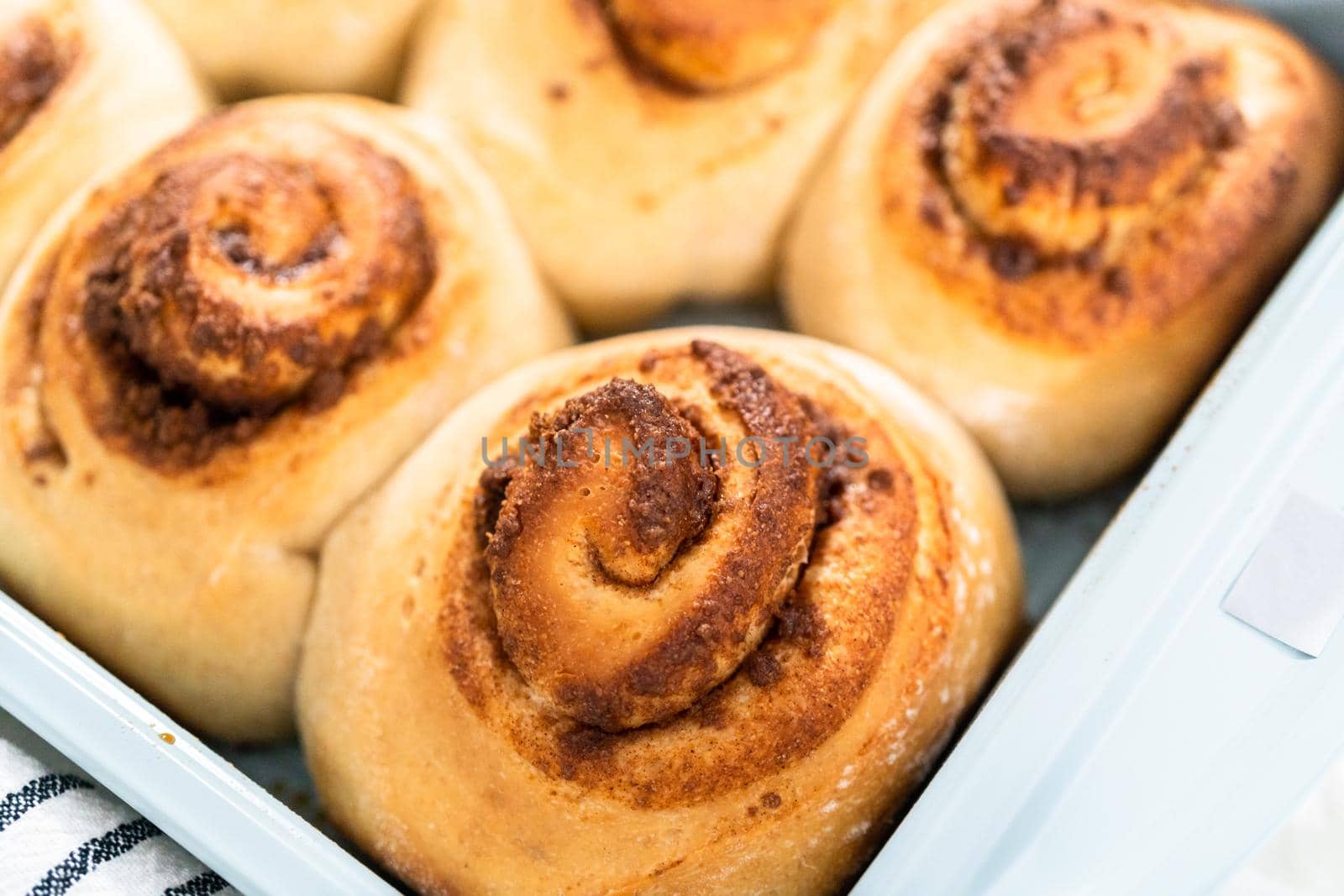 Freshly baked cinnamon rolls in a blue baking pan.