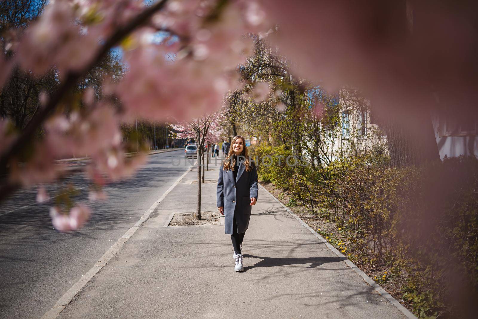 Sakura branches with flowers on a tree on the city streets. Happy woman girl in a gray palette walks along an alley with blooming sakura. Gorgeous fancy girl outdoors. Sakura tree blooming.