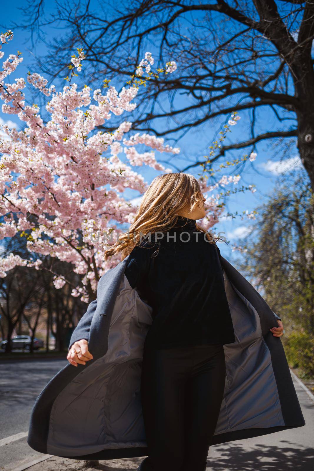 Sakura branches with flowers on a tree on the city streets. Happy woman girl spinning on the street with blooming sakura. Gorgeous fashionable girl outdoors. Sakura tree blossoms.