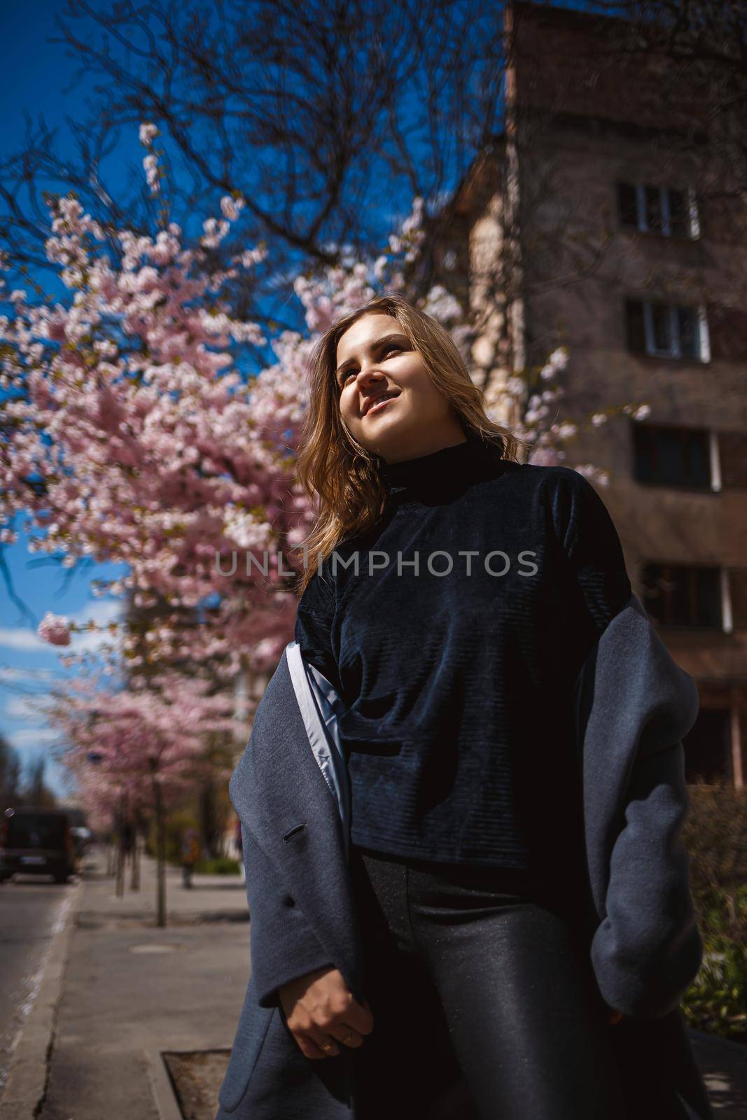Sakura branches with flowers on a tree on the city streets. Happy woman girl in a gray palette walks along an alley with blooming sakura. Gorgeous fancy girl outdoors. Sakura tree blooming.