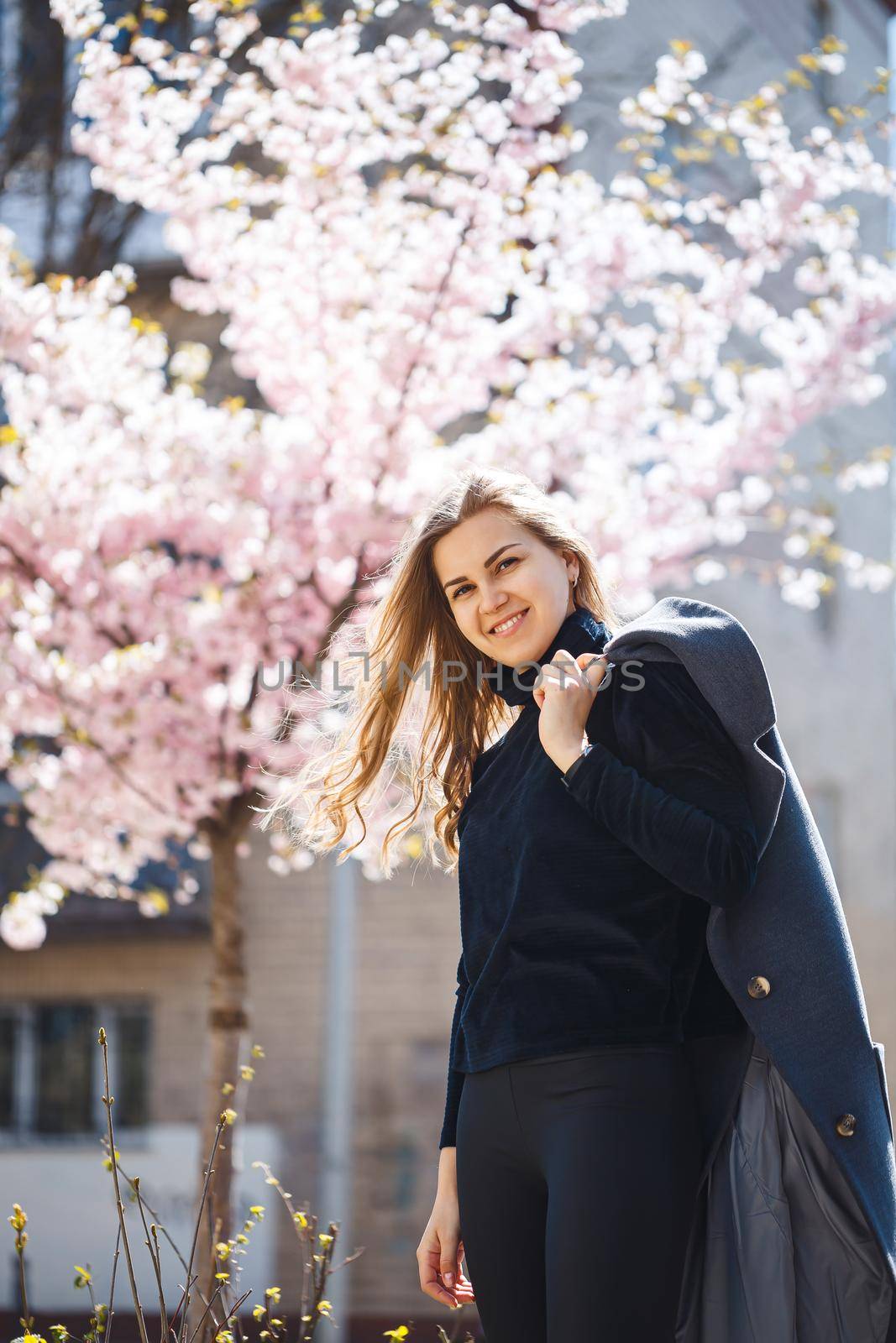 Sakura branches with flowers on a tree on the city streets. Happy woman girl in a gray palette walks along an alley with blooming sakura. Gorgeous fancy girl outdoors. Sakura tree blooming.