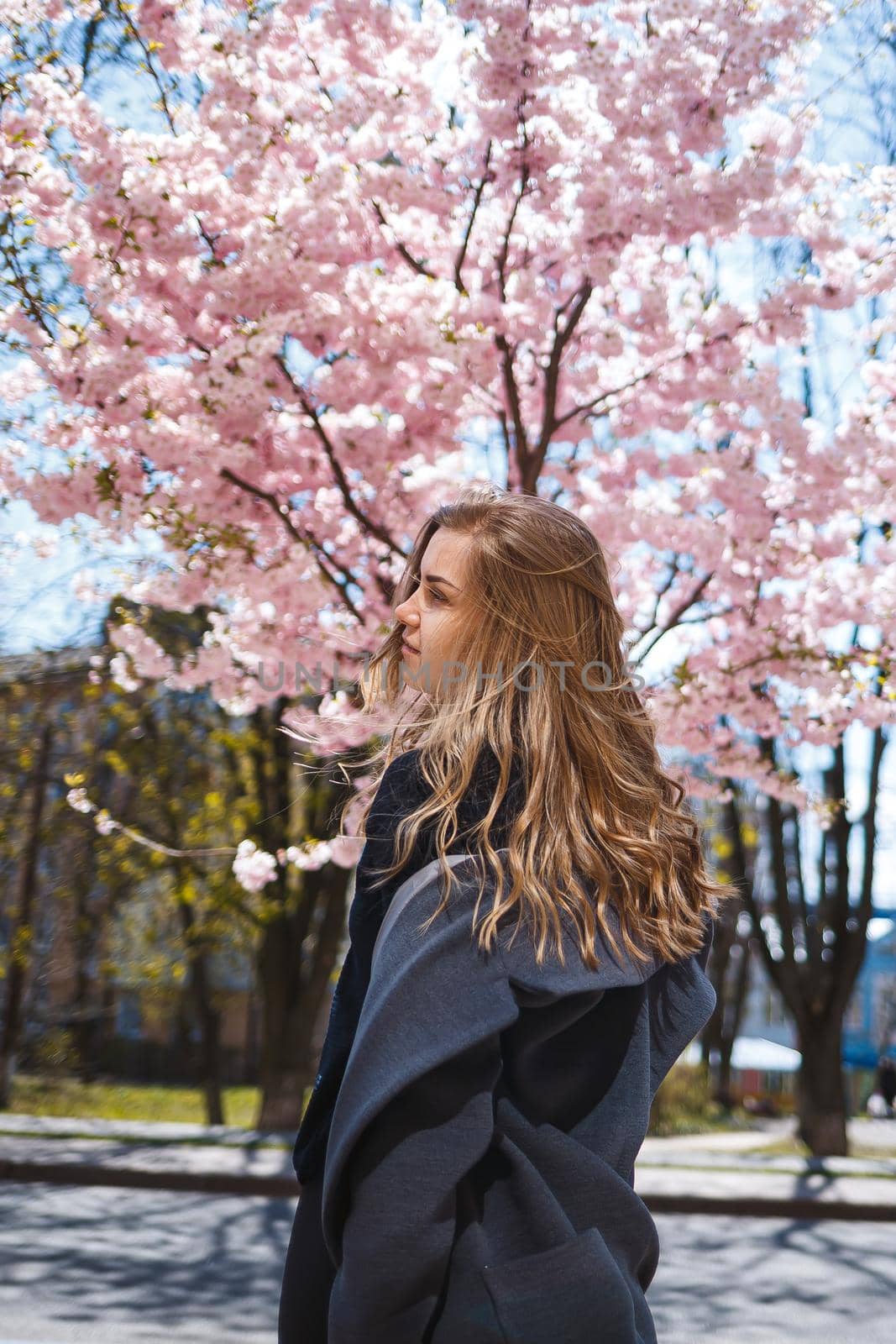 Young slender female model with long wavy hair and, dressed in a gray coat, sneakers, spinning on the street. Spring blossom trees woman girl laughs and runs to rejoice