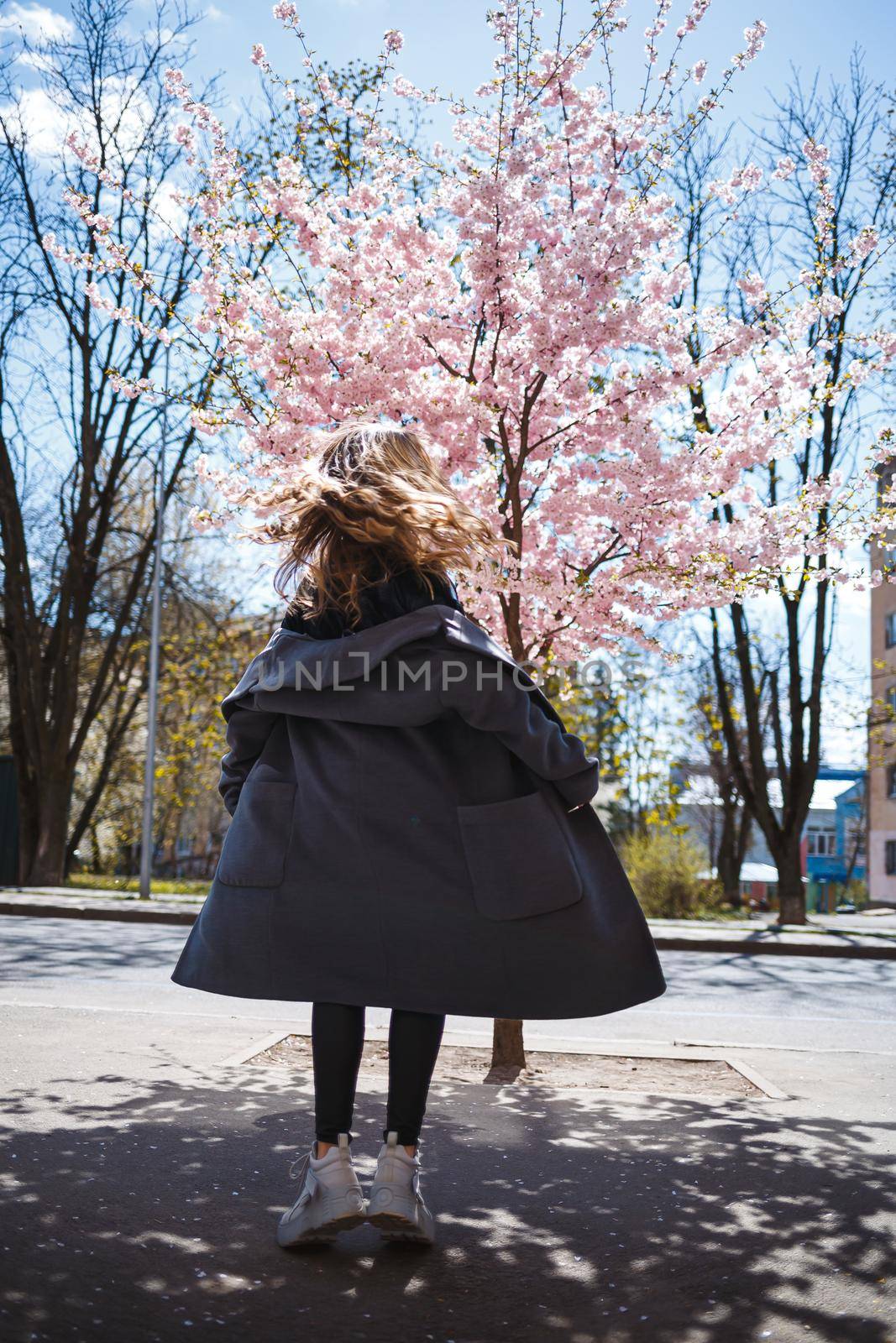 Young slender female model with long wavy hair and, dressed in a gray coat, sneakers, spinning on the street. Spring blossom trees woman girl laughs and runs to rejoice