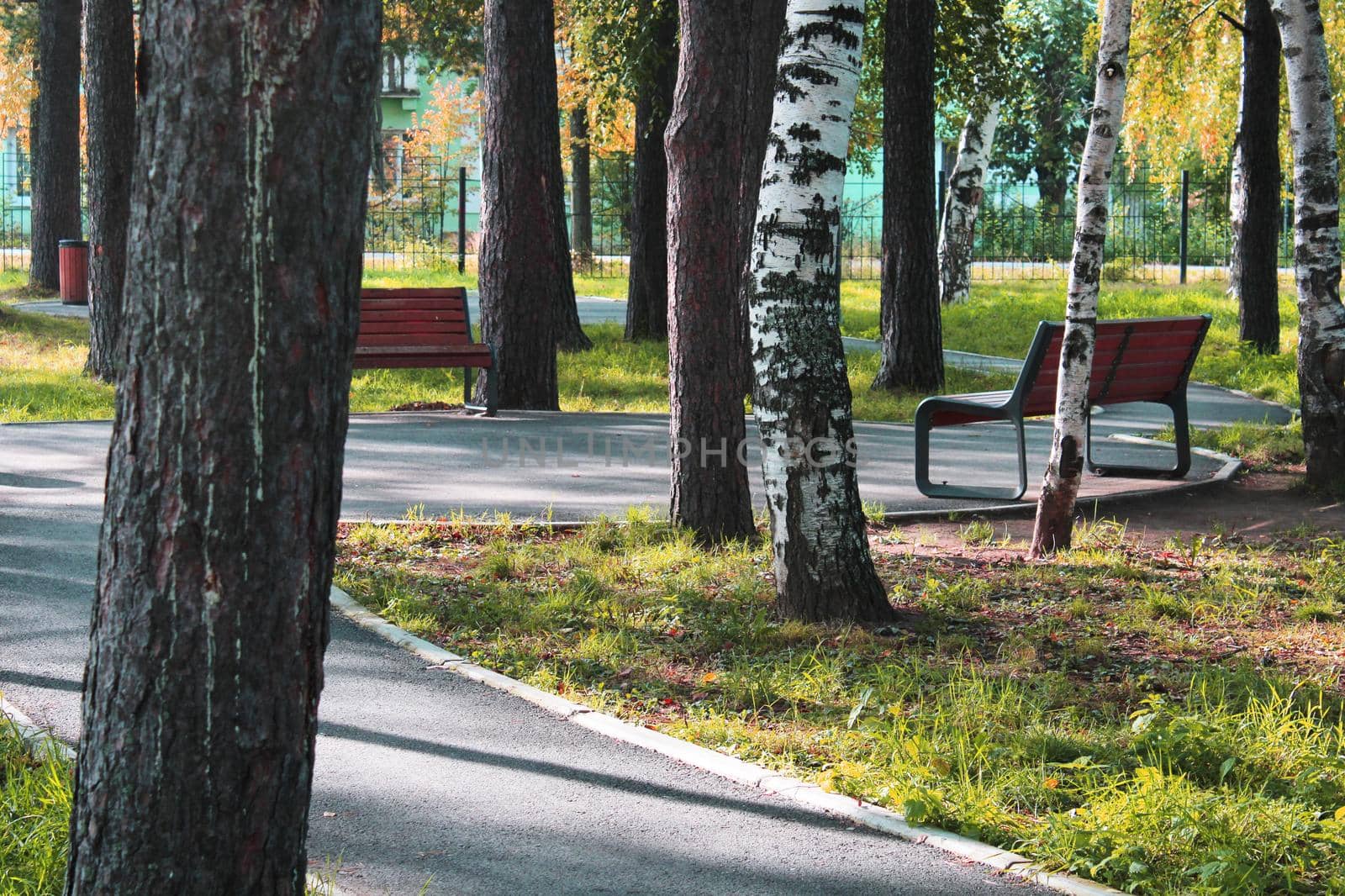 City park with paths and benches. Place for rest and walks. urban architecture