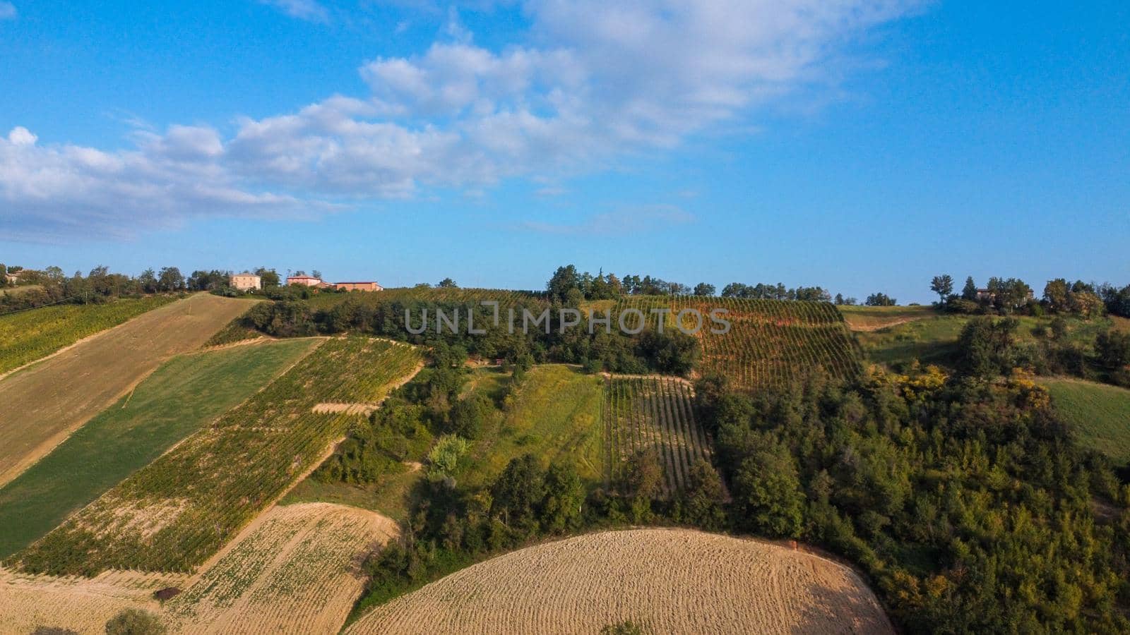 aerial view sunrise hills wine farms italy in Baccedasco PC