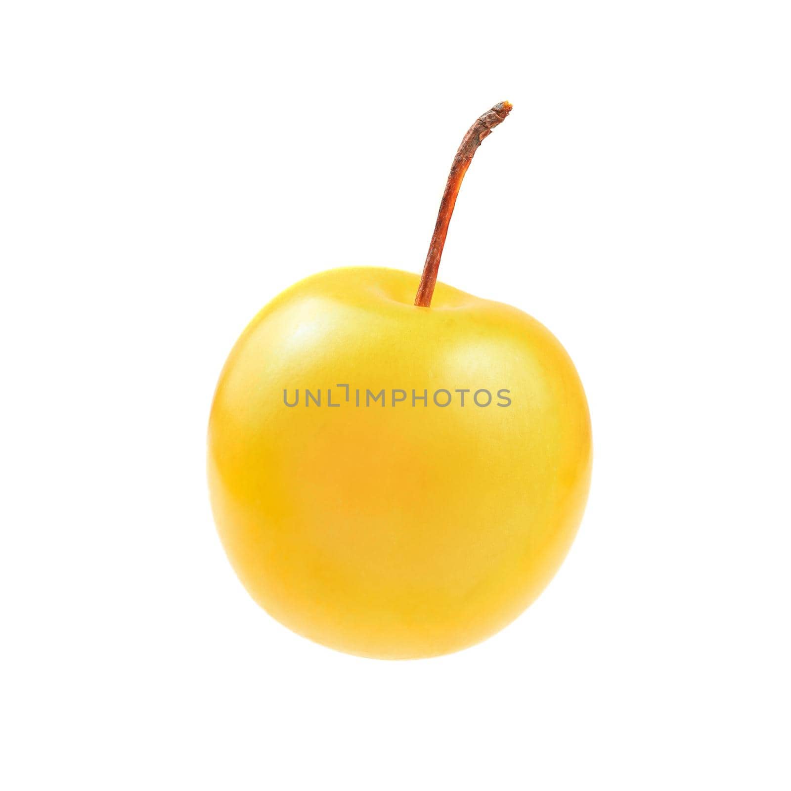 Single mirabele plum (Prunus domestica) isolated on white background.