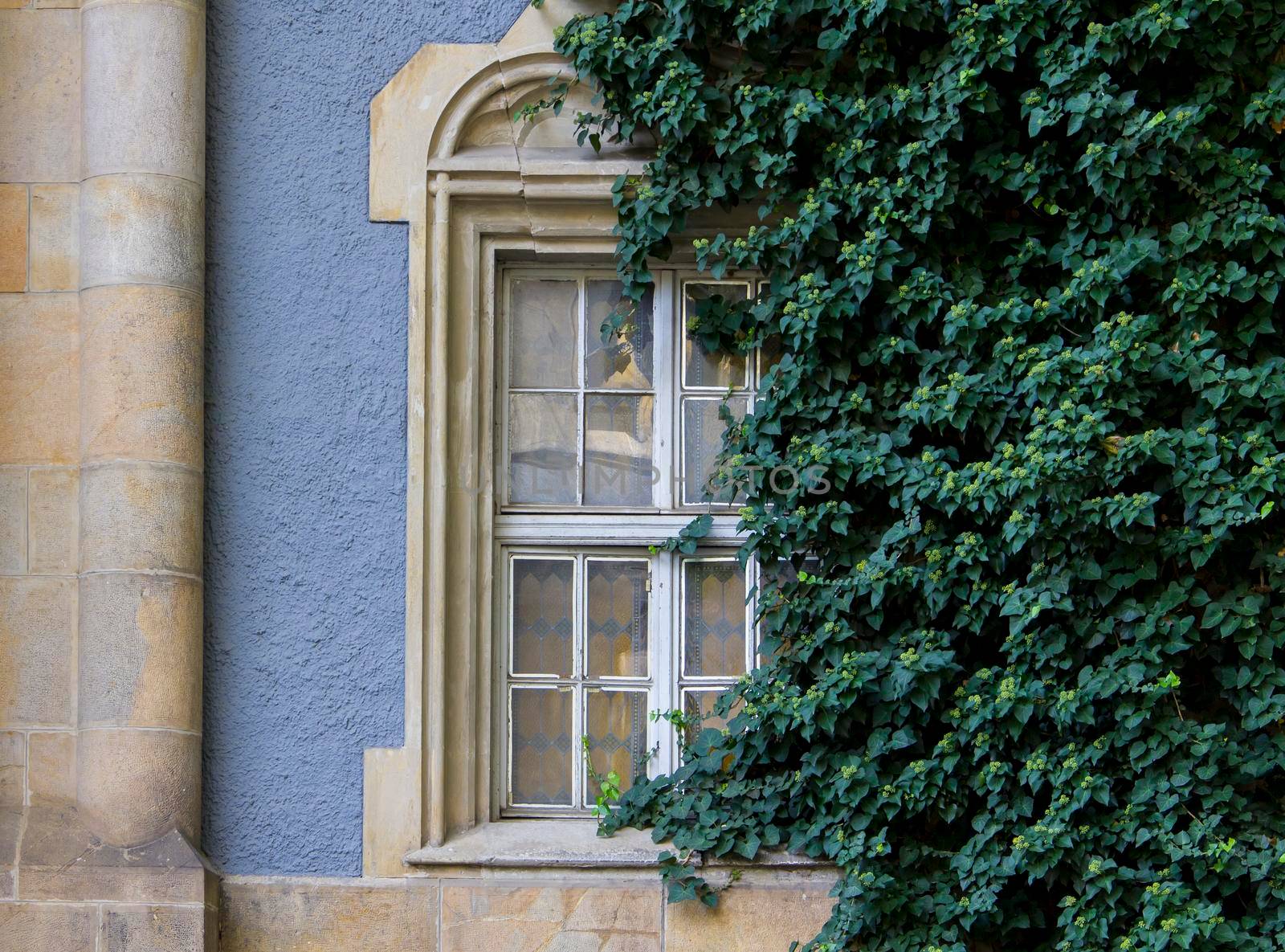Romanesque, Gothic, Renaissance-Baroque window overgrown with amber. Vajda Hunyad Castle, Budapest, Hungary