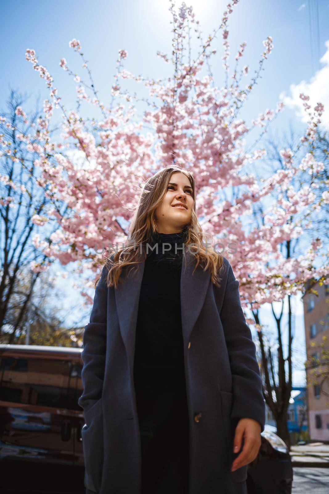 Sakura branches with flowers on a tree on the city streets. Stylish woman girl stands in the street with blooming sakura. Modern fashionable girl outdoors. Sakura tree blossoms.